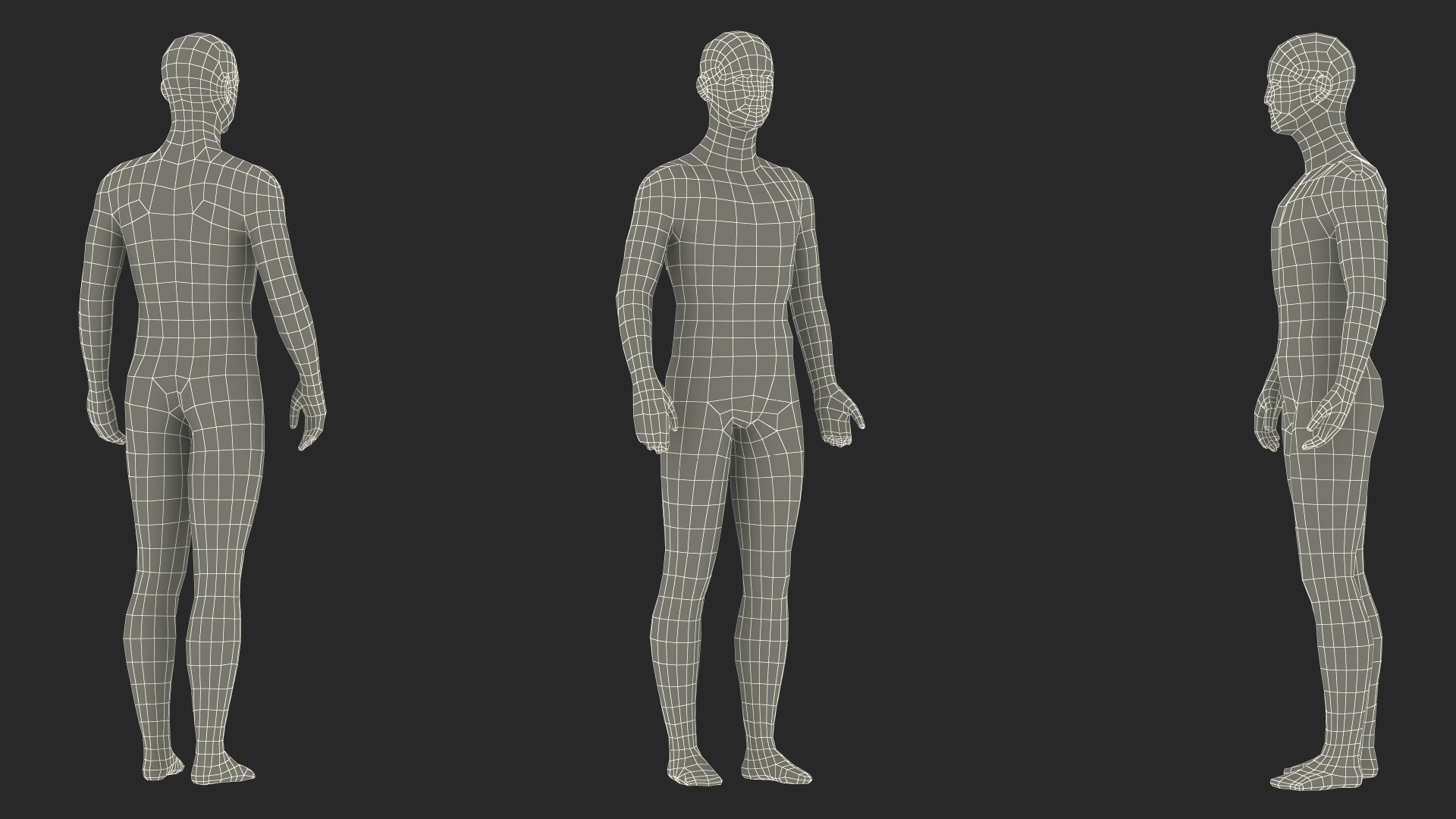 3D Male Acupuncture Mannequin