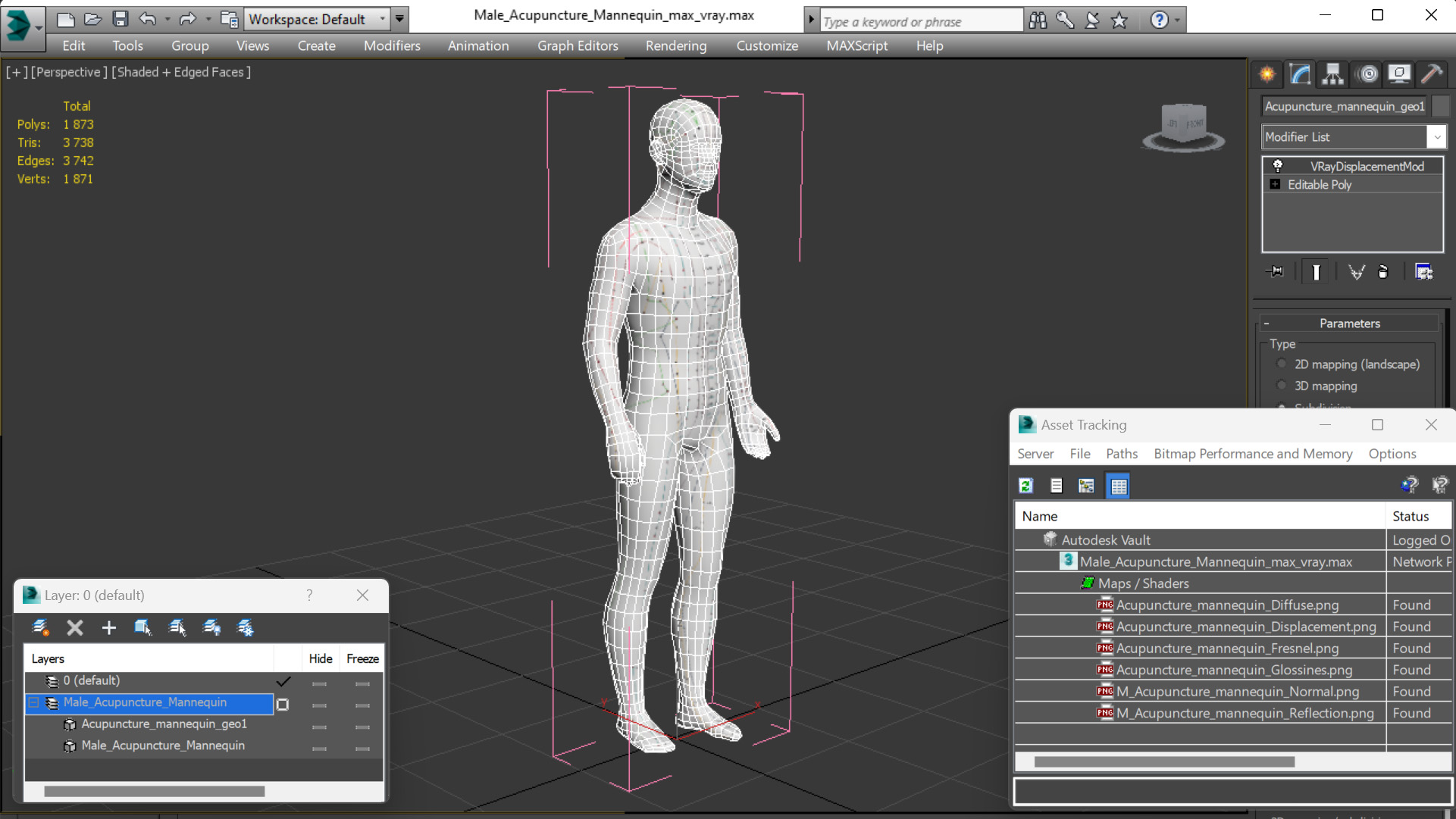 3D Male Acupuncture Mannequin