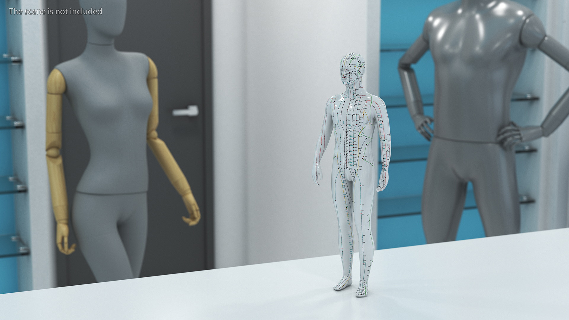 3D Male Acupuncture Mannequin