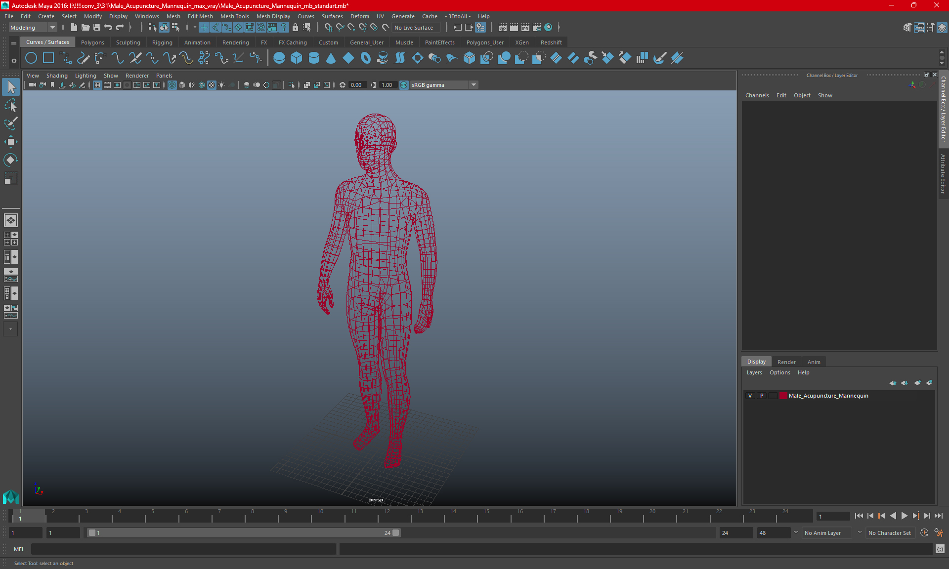 3D Male Acupuncture Mannequin