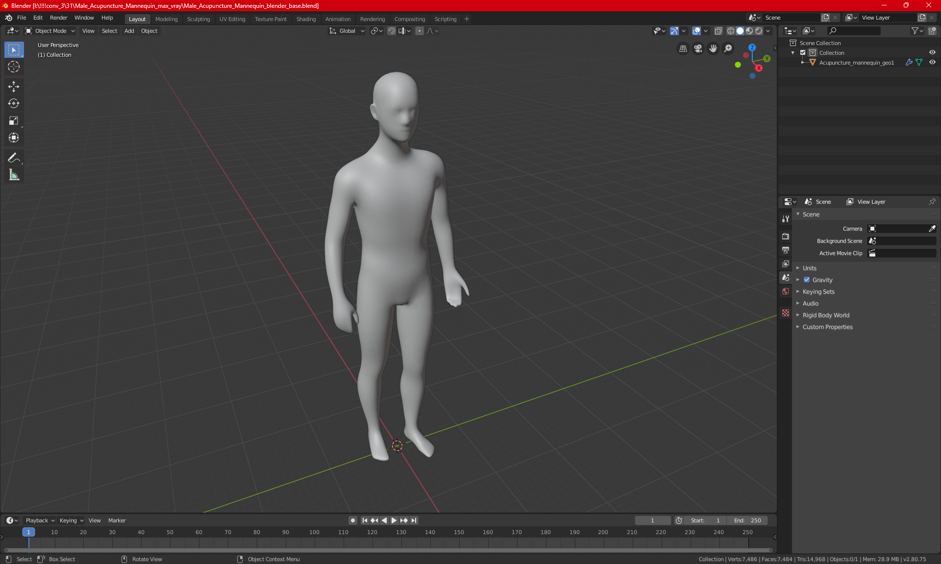 3D Male Acupuncture Mannequin