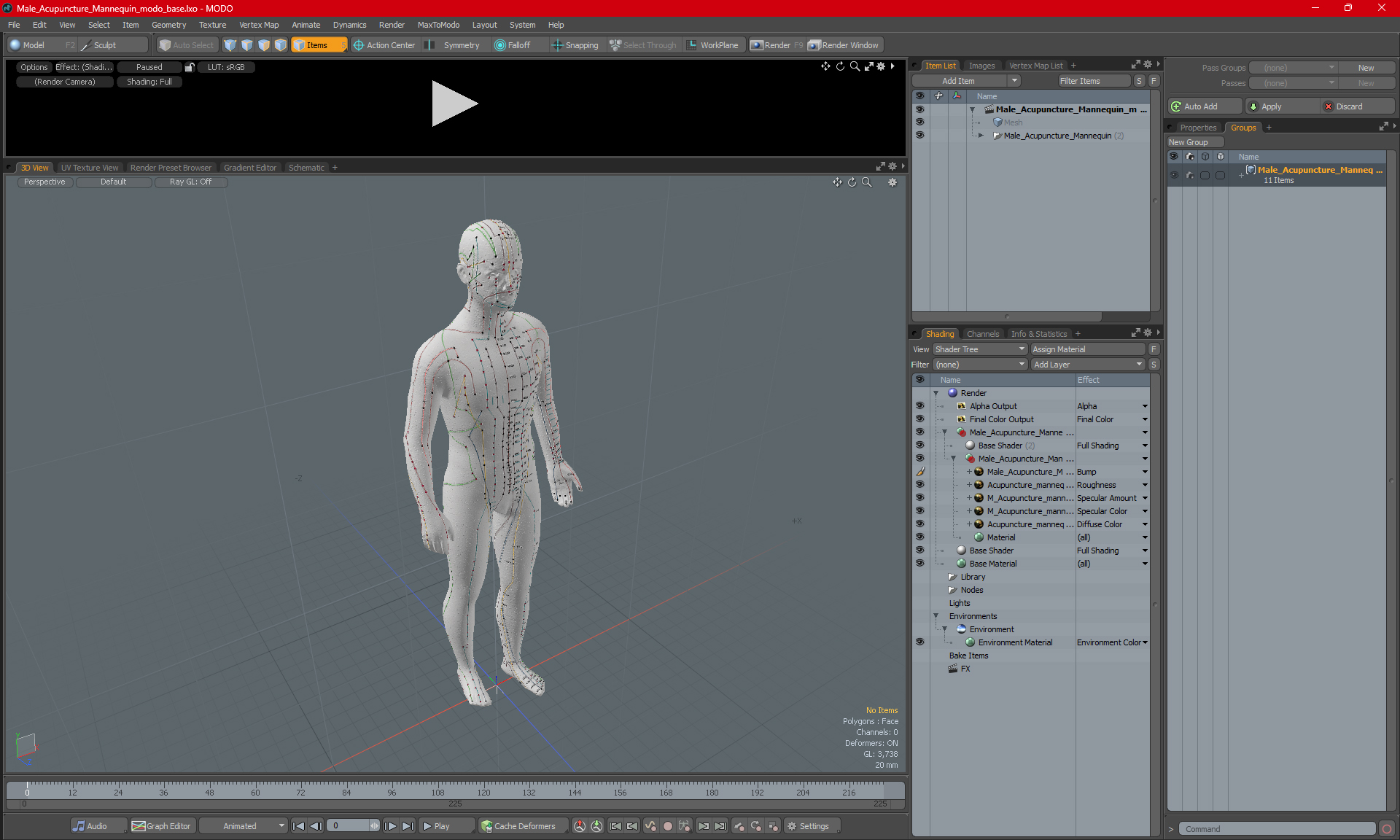 3D Male Acupuncture Mannequin