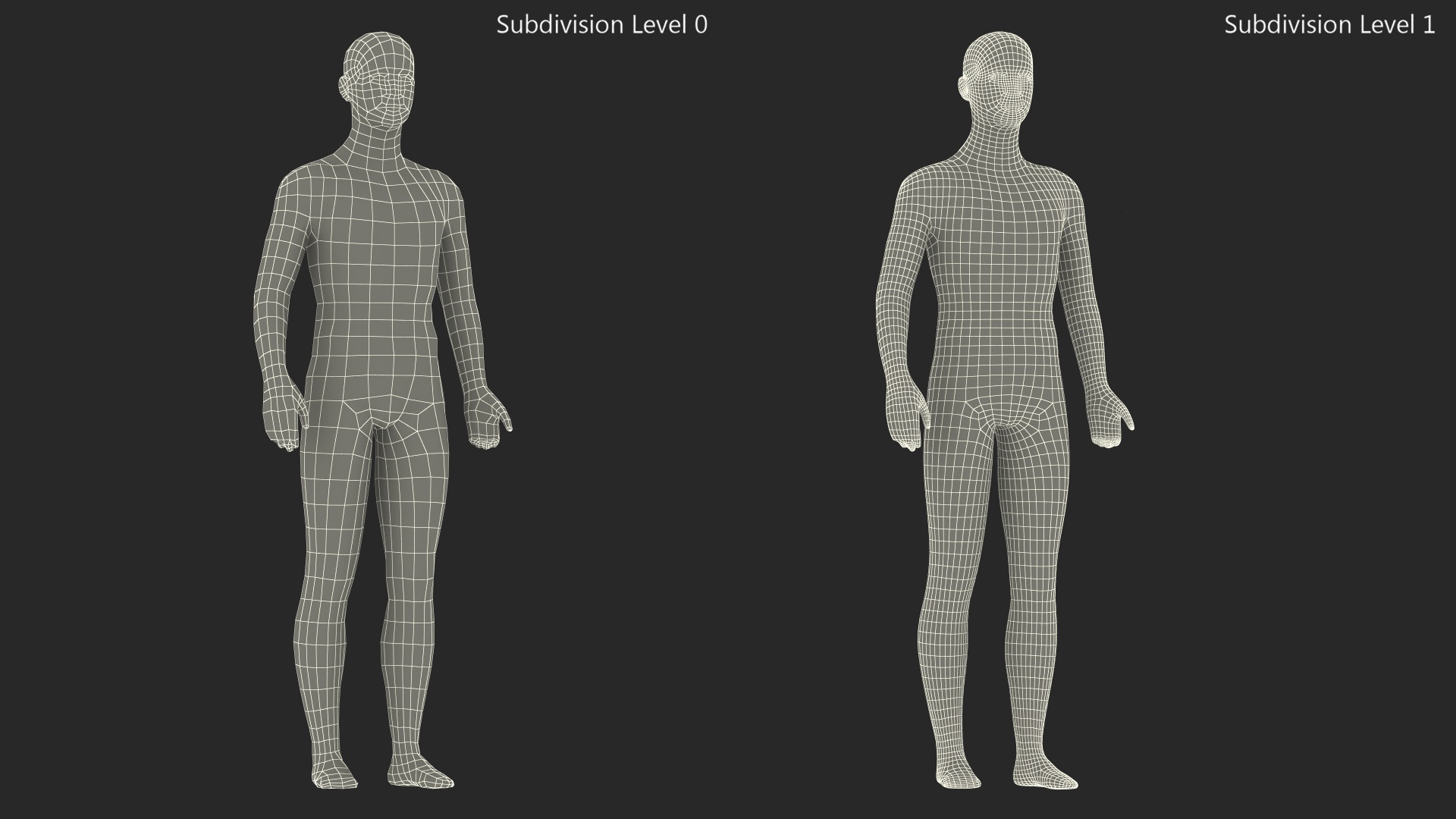 3D Male Acupuncture Mannequin