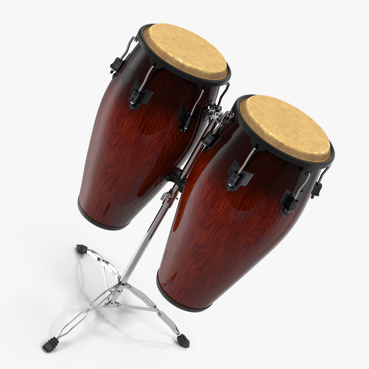 Conga Dark Wood 3D Model