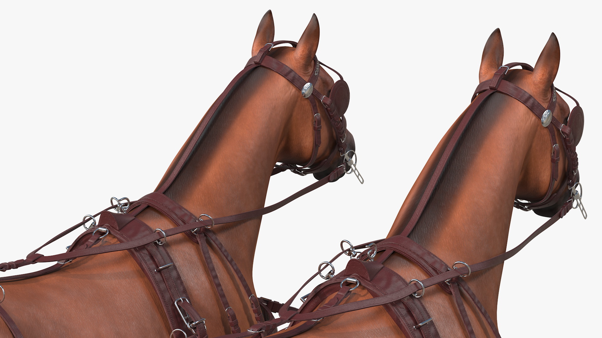 3D Pair of Breast Collar Harness Rigged
