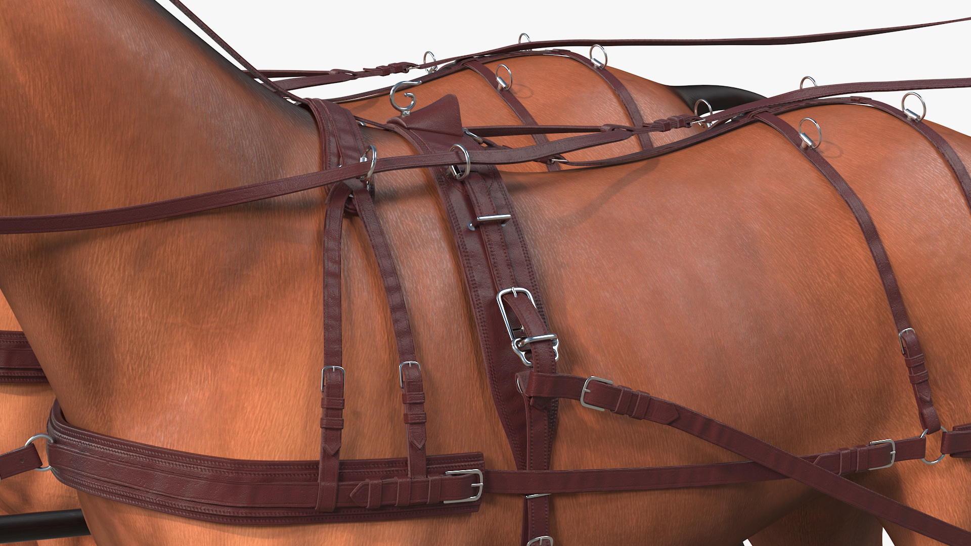 3D Pair of Breast Collar Harness Rigged