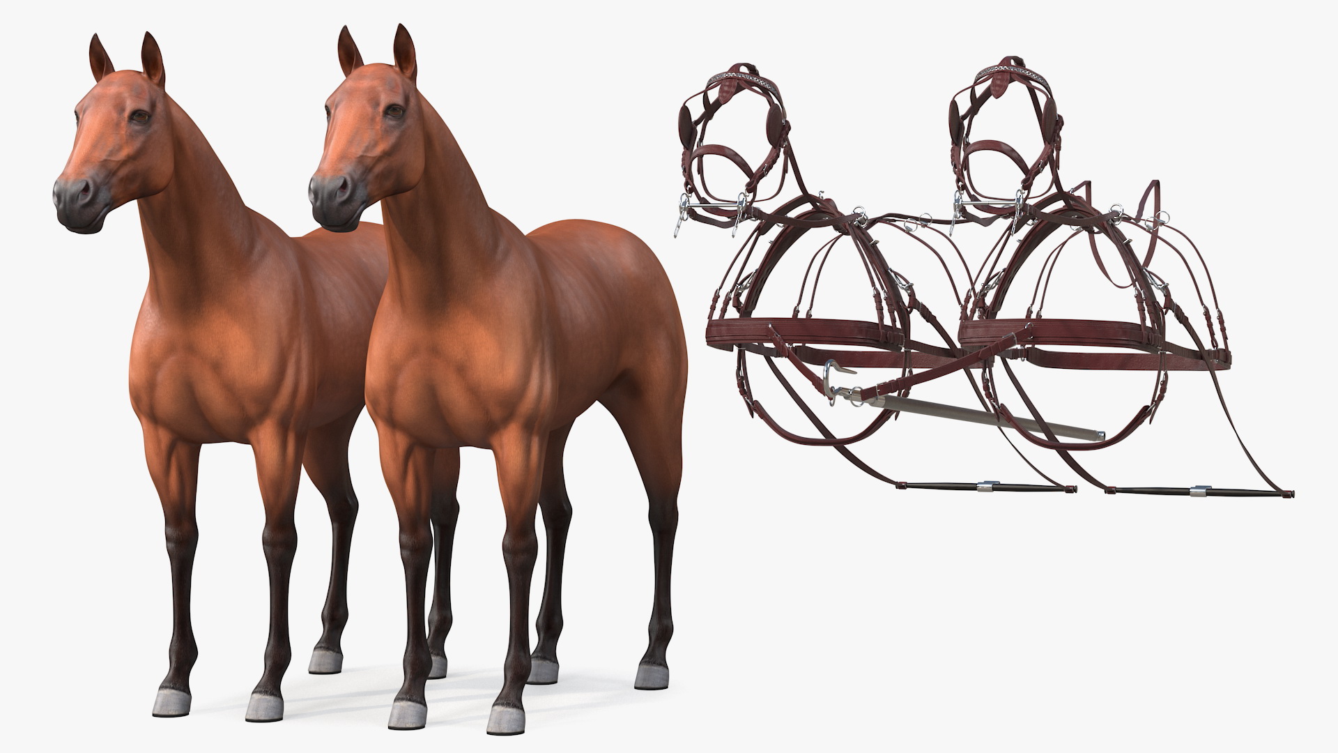 3D Pair of Breast Collar Harness Rigged