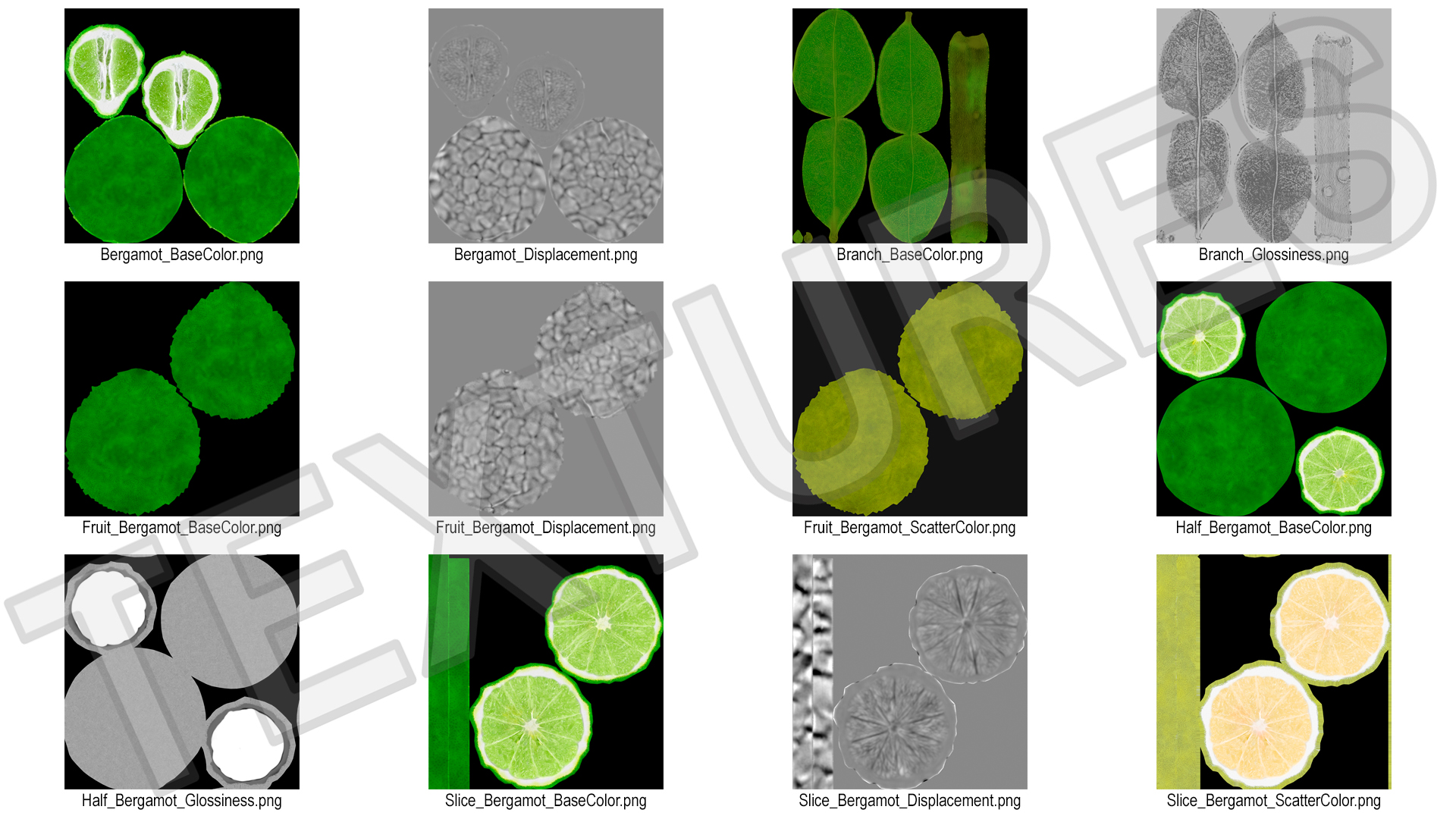 3D model Bergamot Fruits