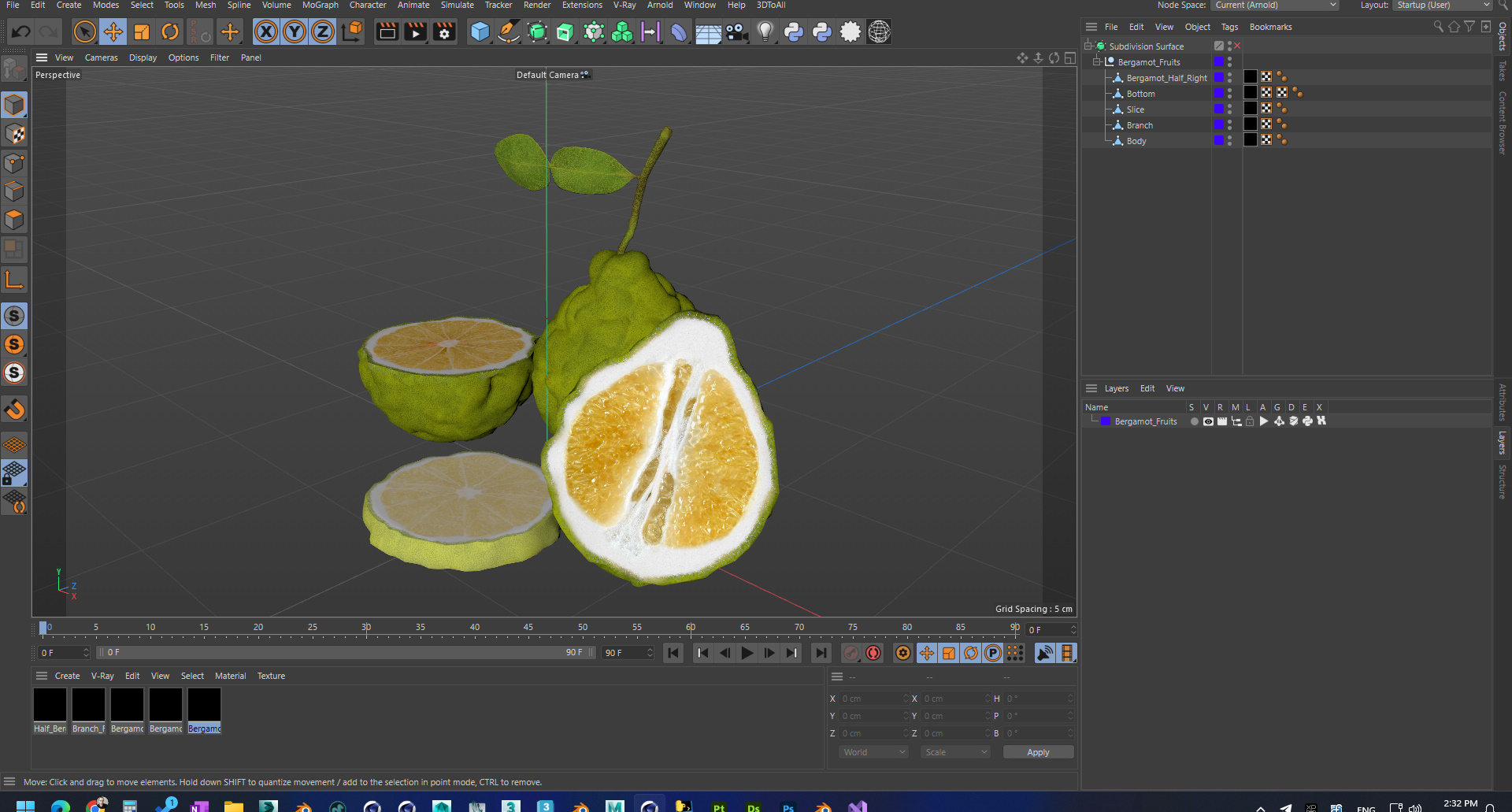 3D model Bergamot Fruits