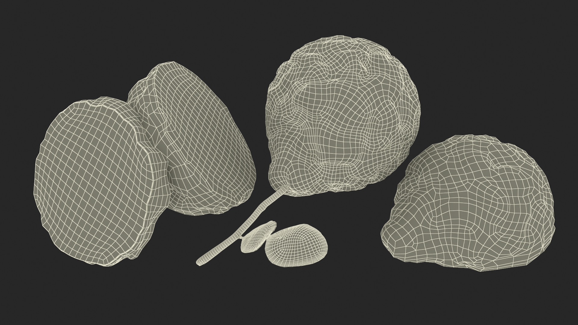 3D model Bergamot Fruits