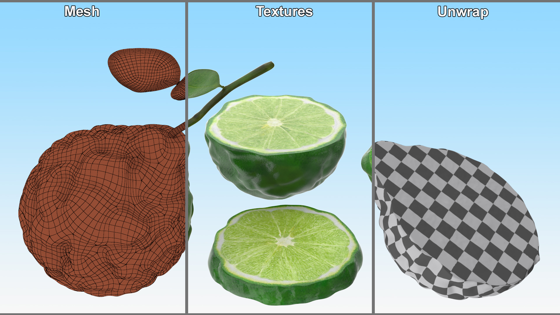 3D model Bergamot Fruits