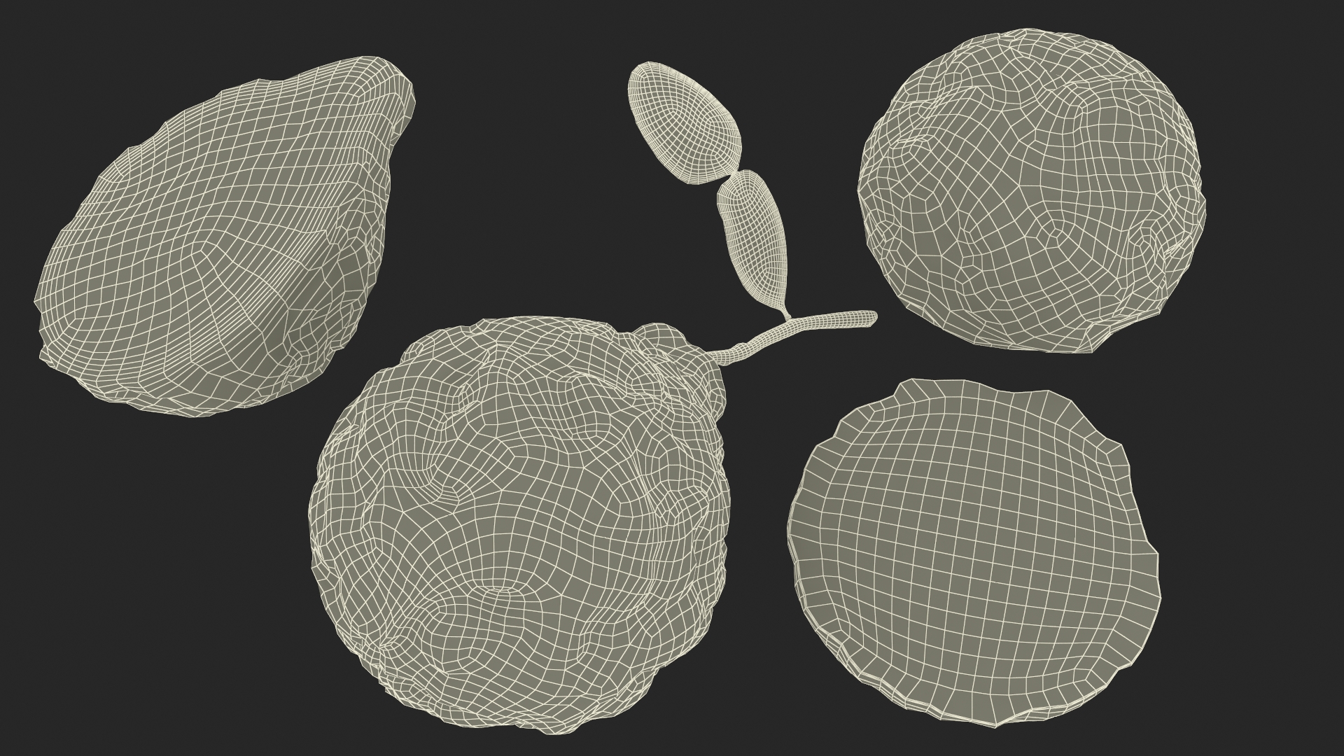 3D model Bergamot Fruits