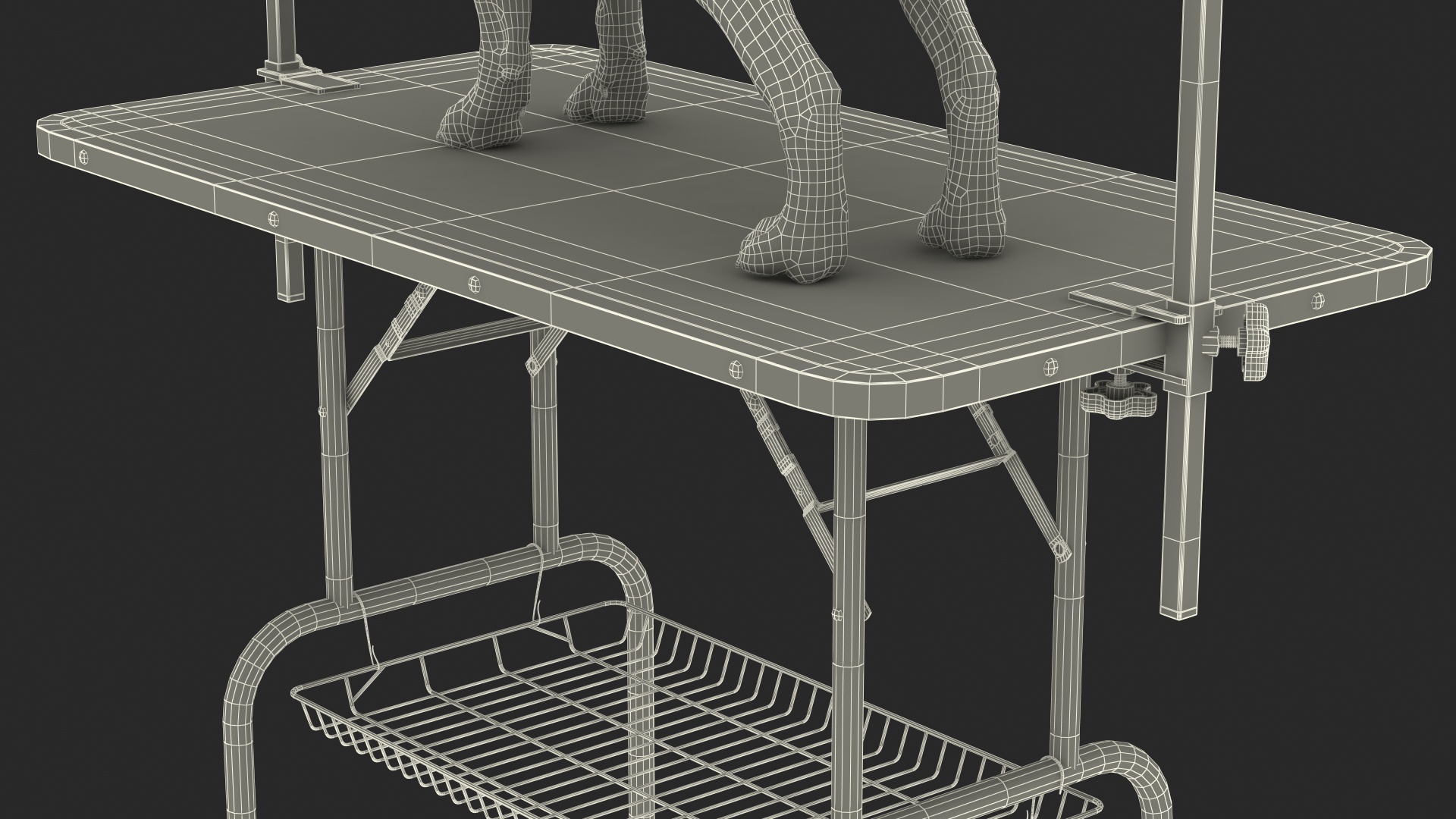 3D Grooming Table with Dog model
