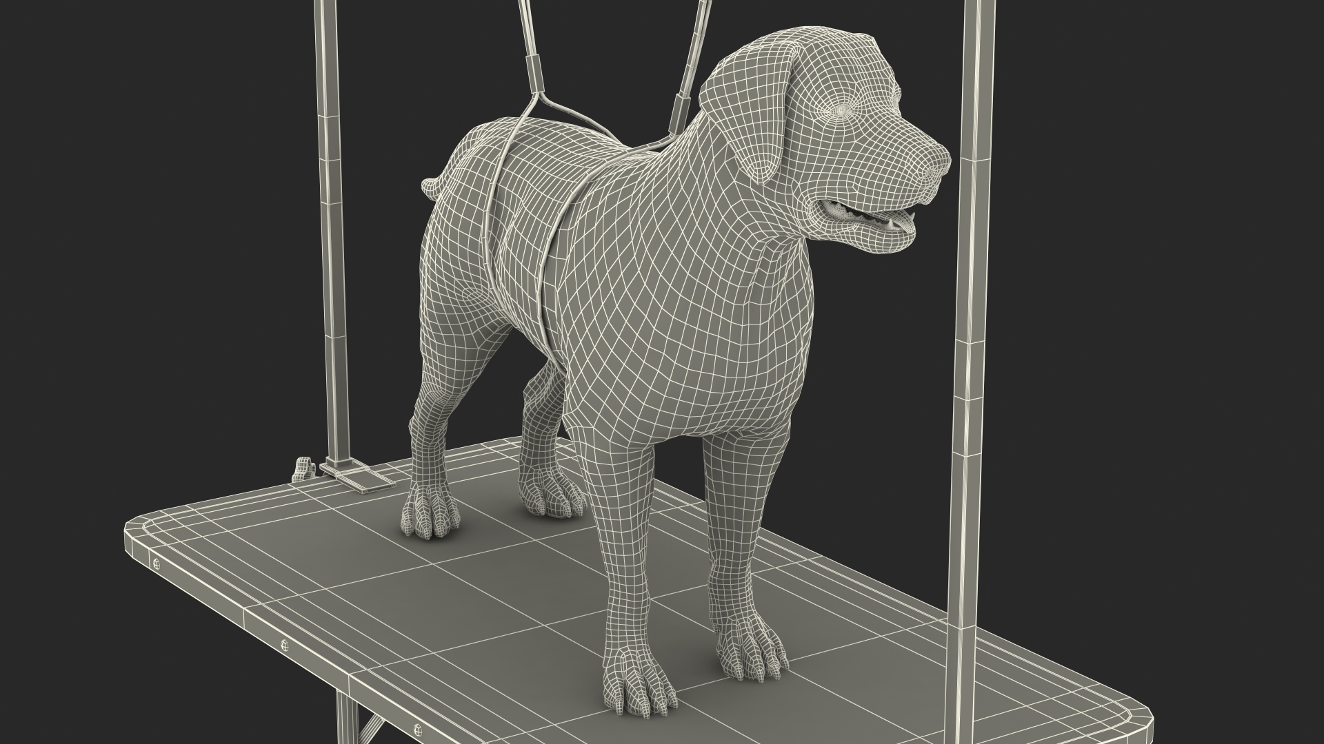 3D Grooming Table with Dog model