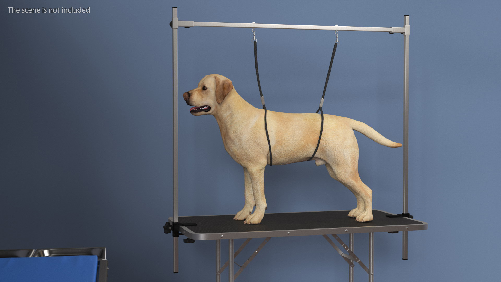 3D Grooming Table with Dog model