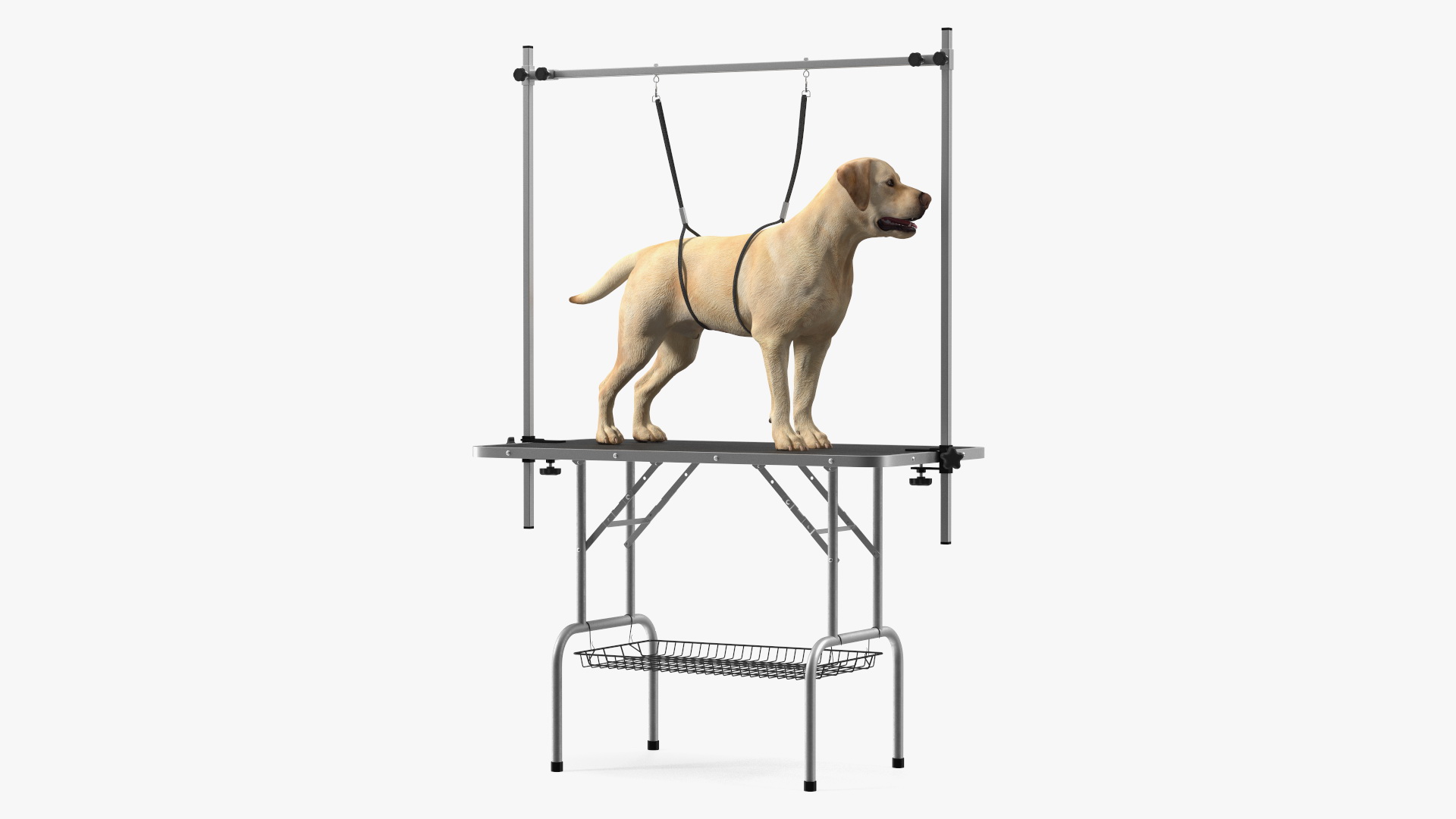 3D Grooming Table with Dog model
