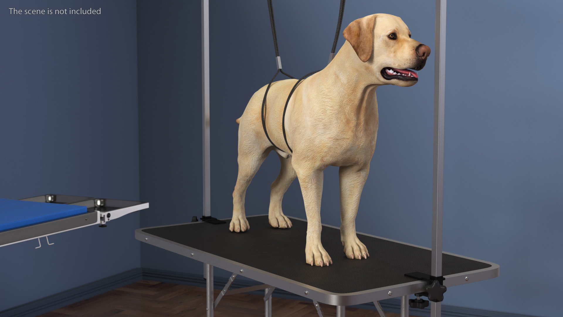 3D Grooming Table with Dog model