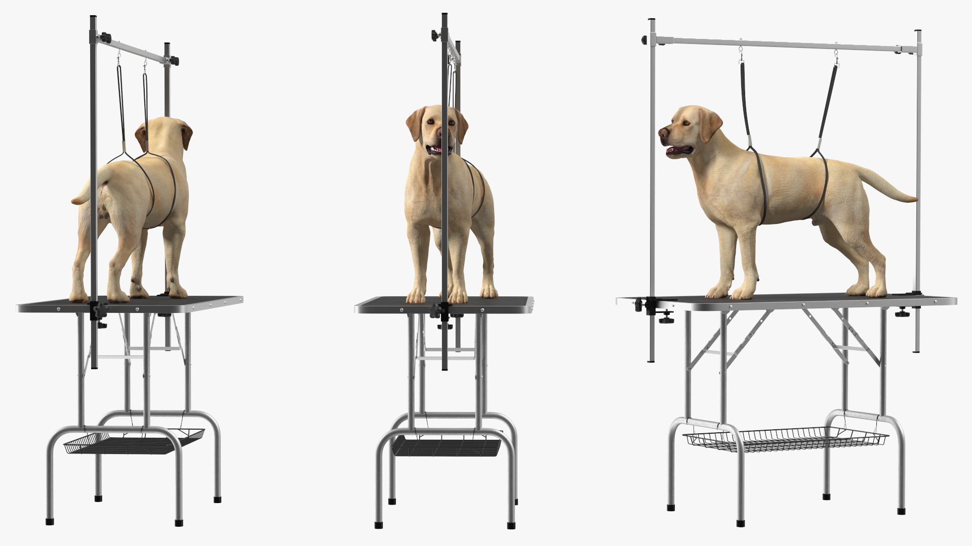 3D Grooming Table with Dog model