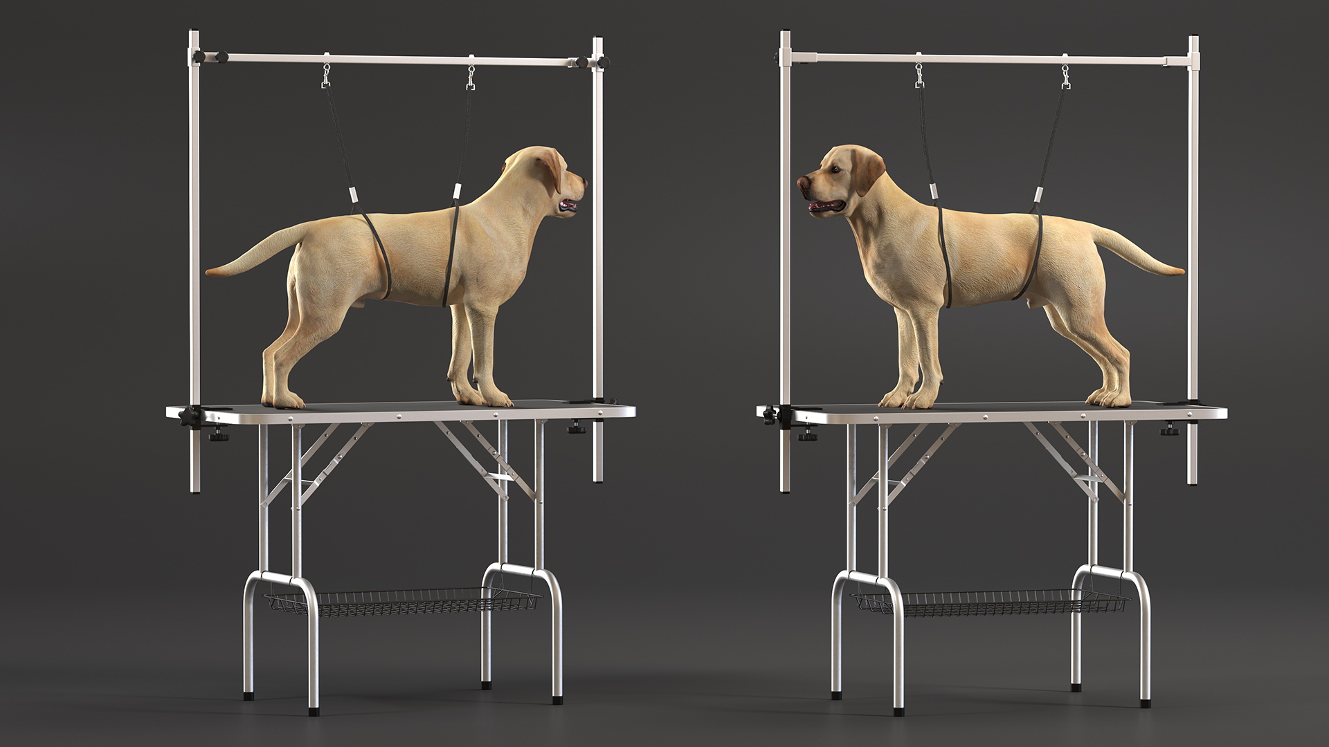 3D Grooming Table with Dog model