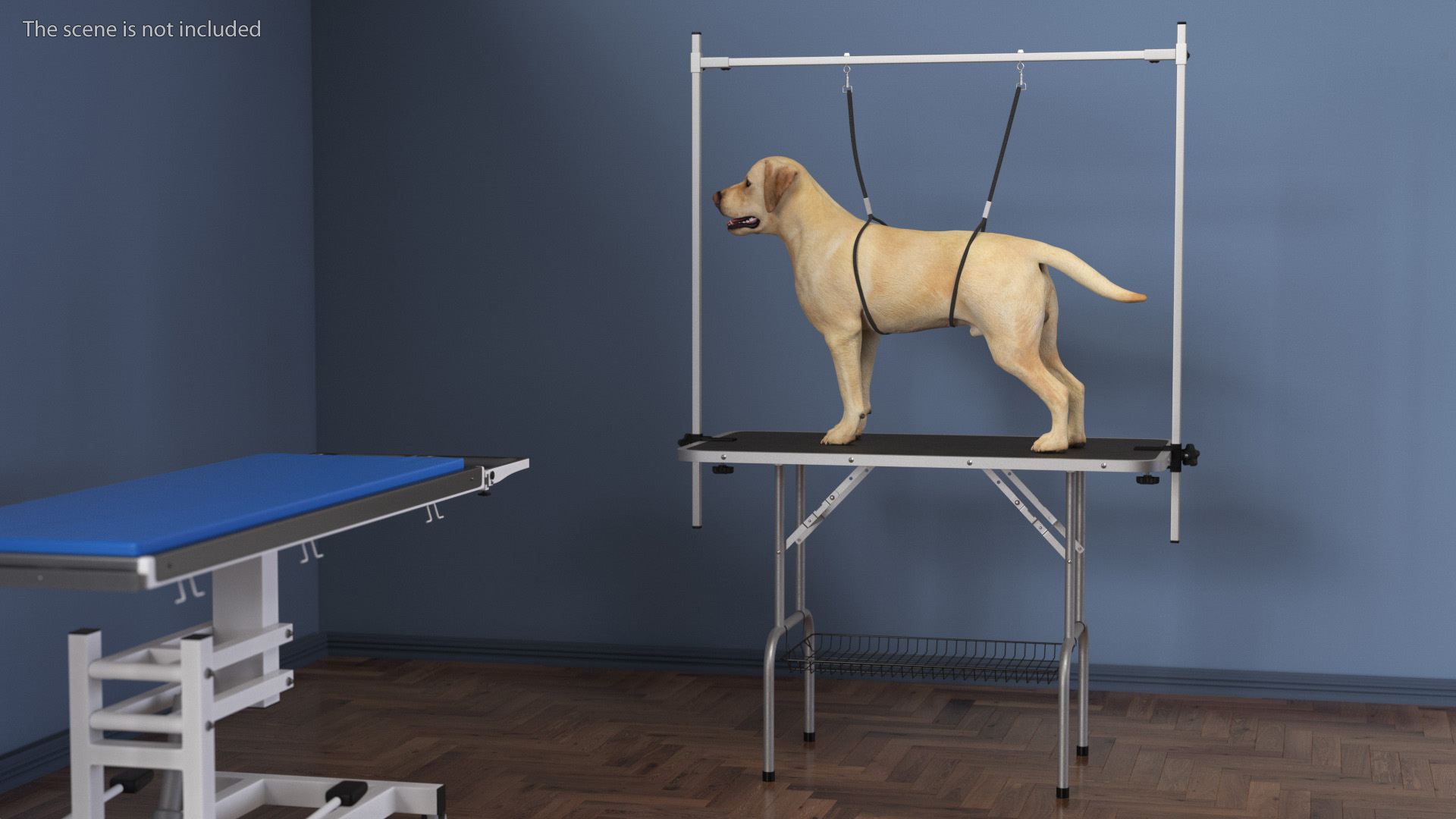3D Grooming Table with Dog model