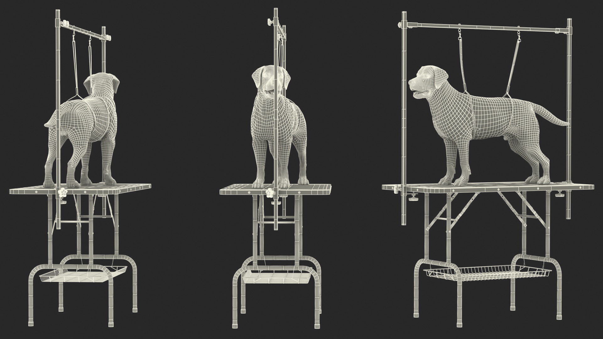 3D Grooming Table with Dog model