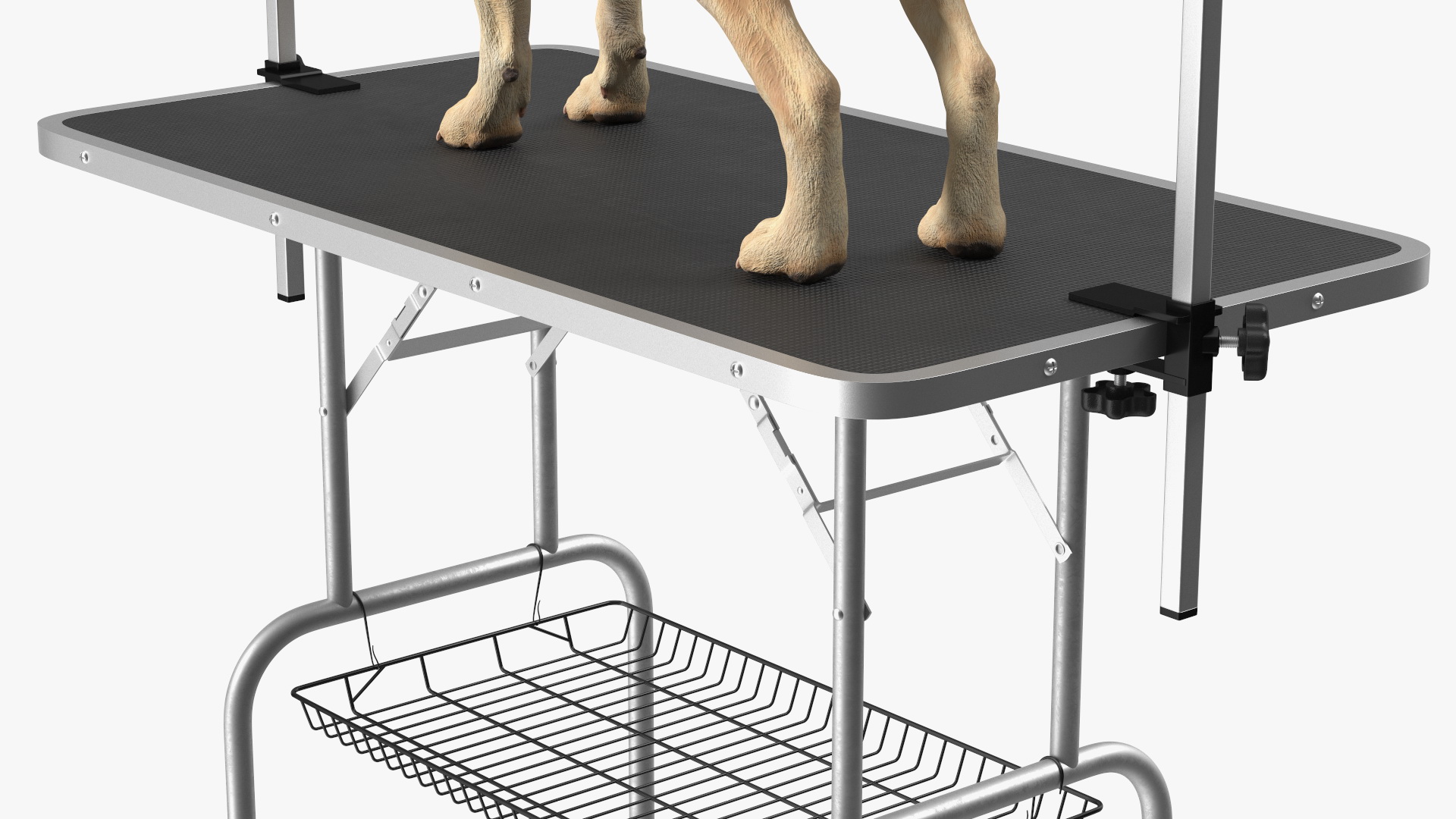 3D Grooming Table with Dog model