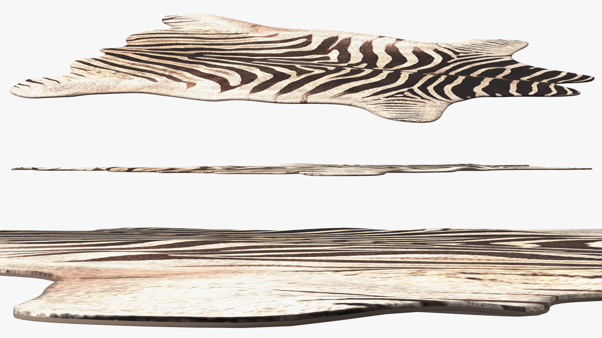 Zebra Hide Rug 3D model