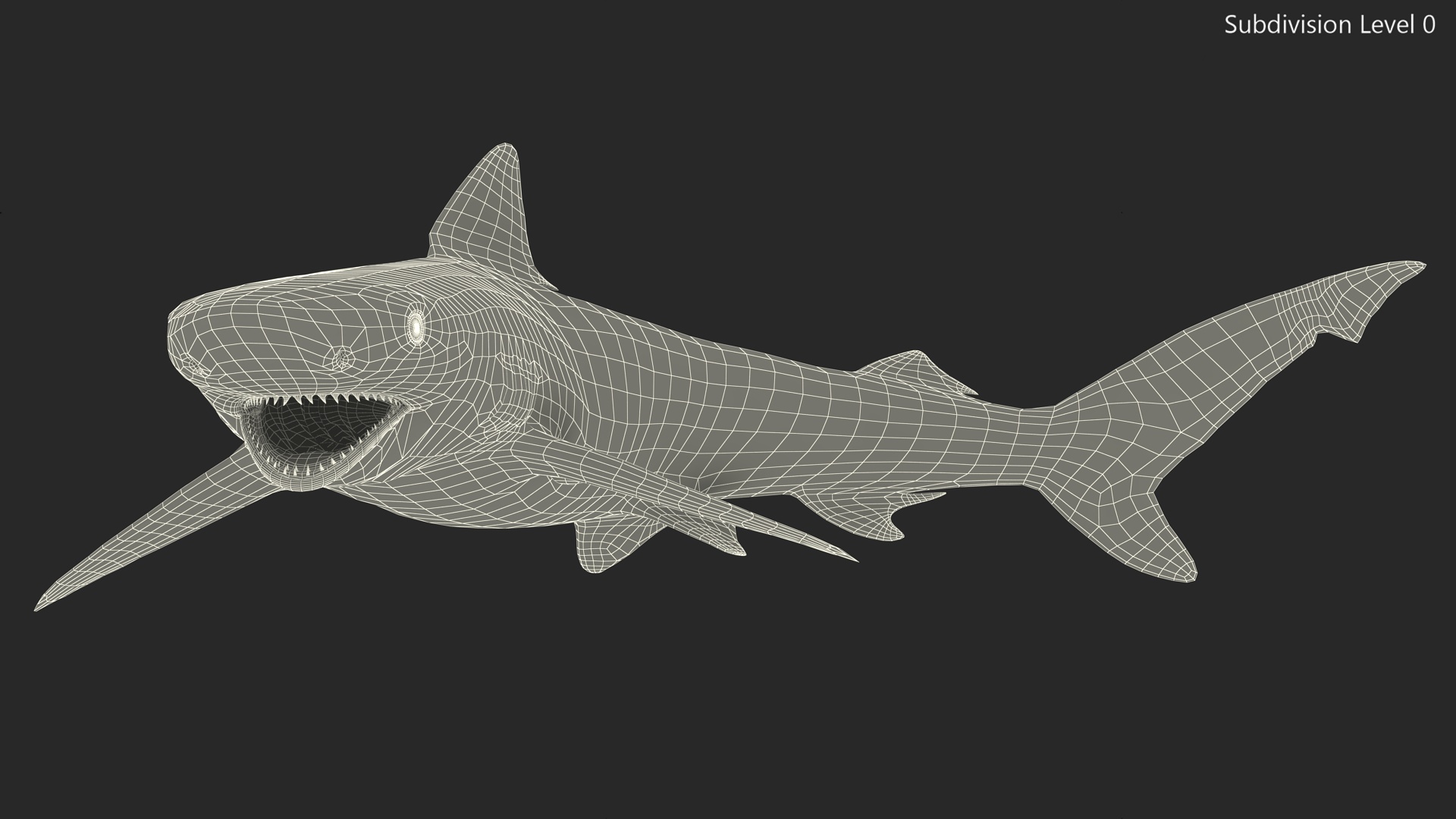 Smalltail Shark or Carcharhinus Porosus 3D model