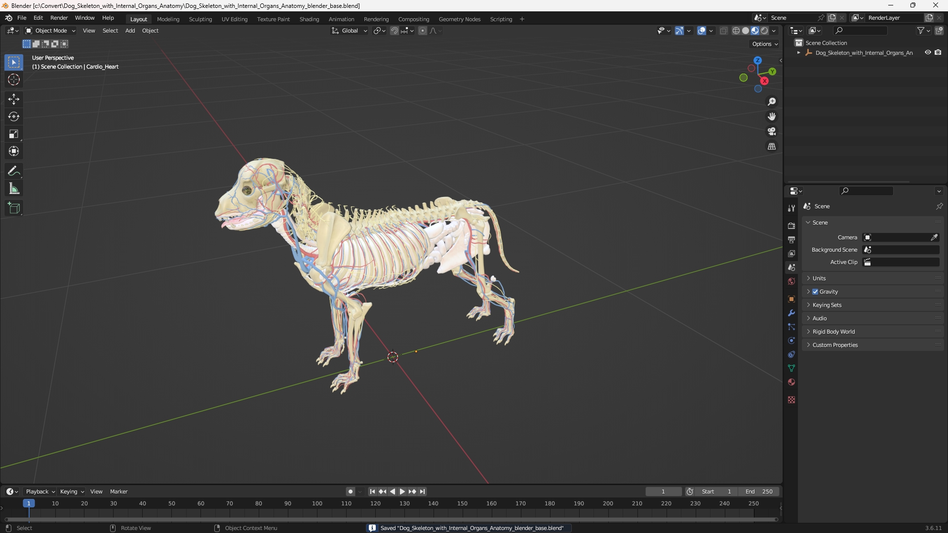 Dog Skeleton with Internal Organs Anatomy - view 10