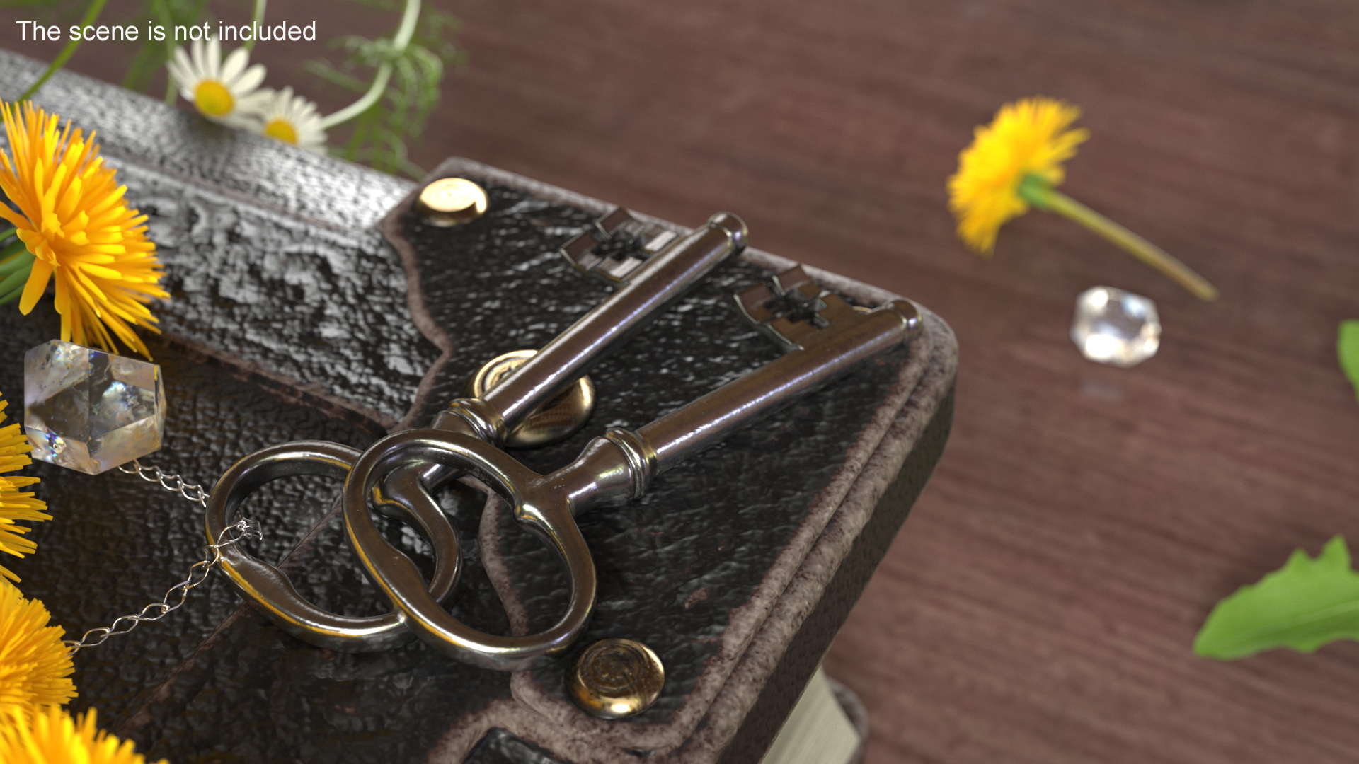 Classic Skeleton Key Silver 3D