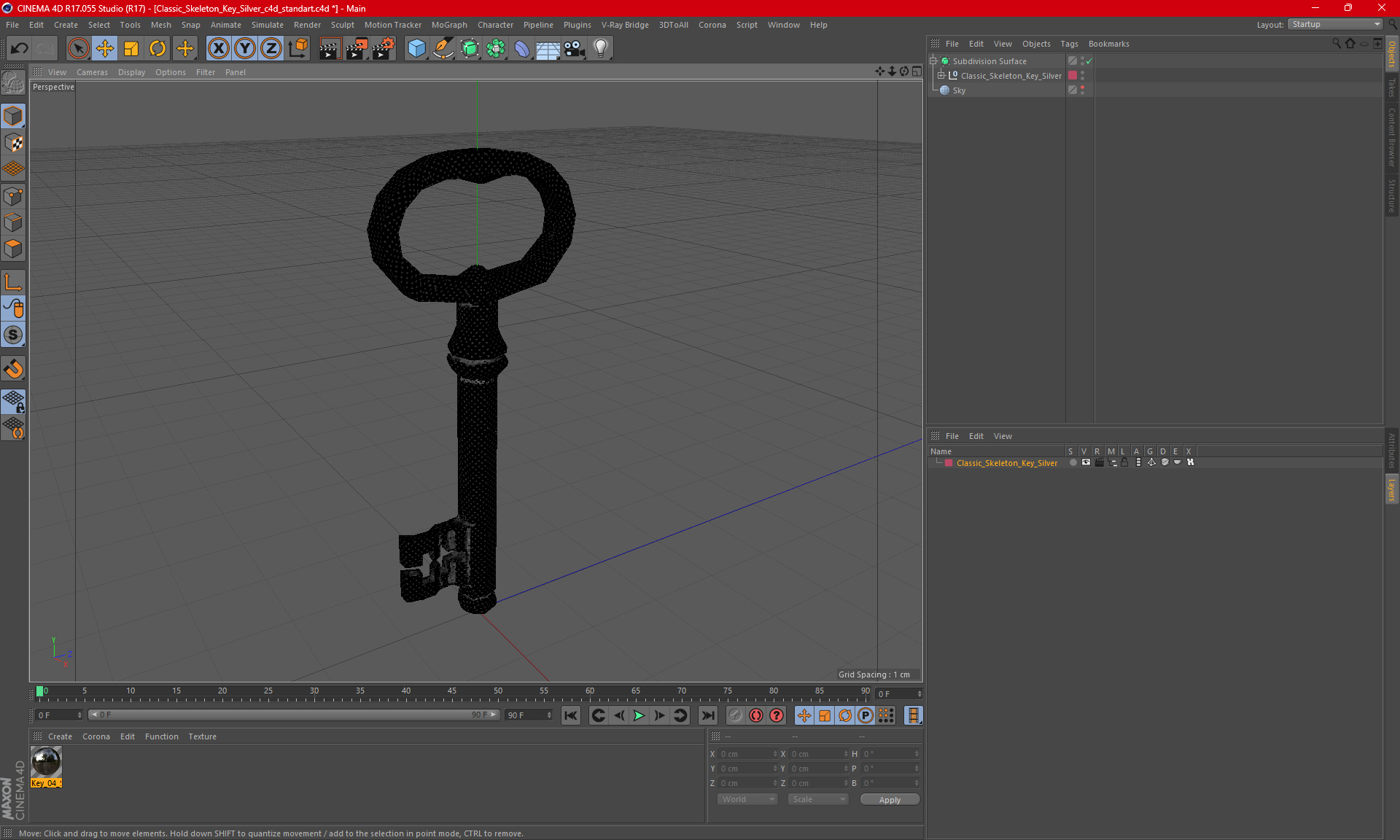 Classic Skeleton Key Silver 3D