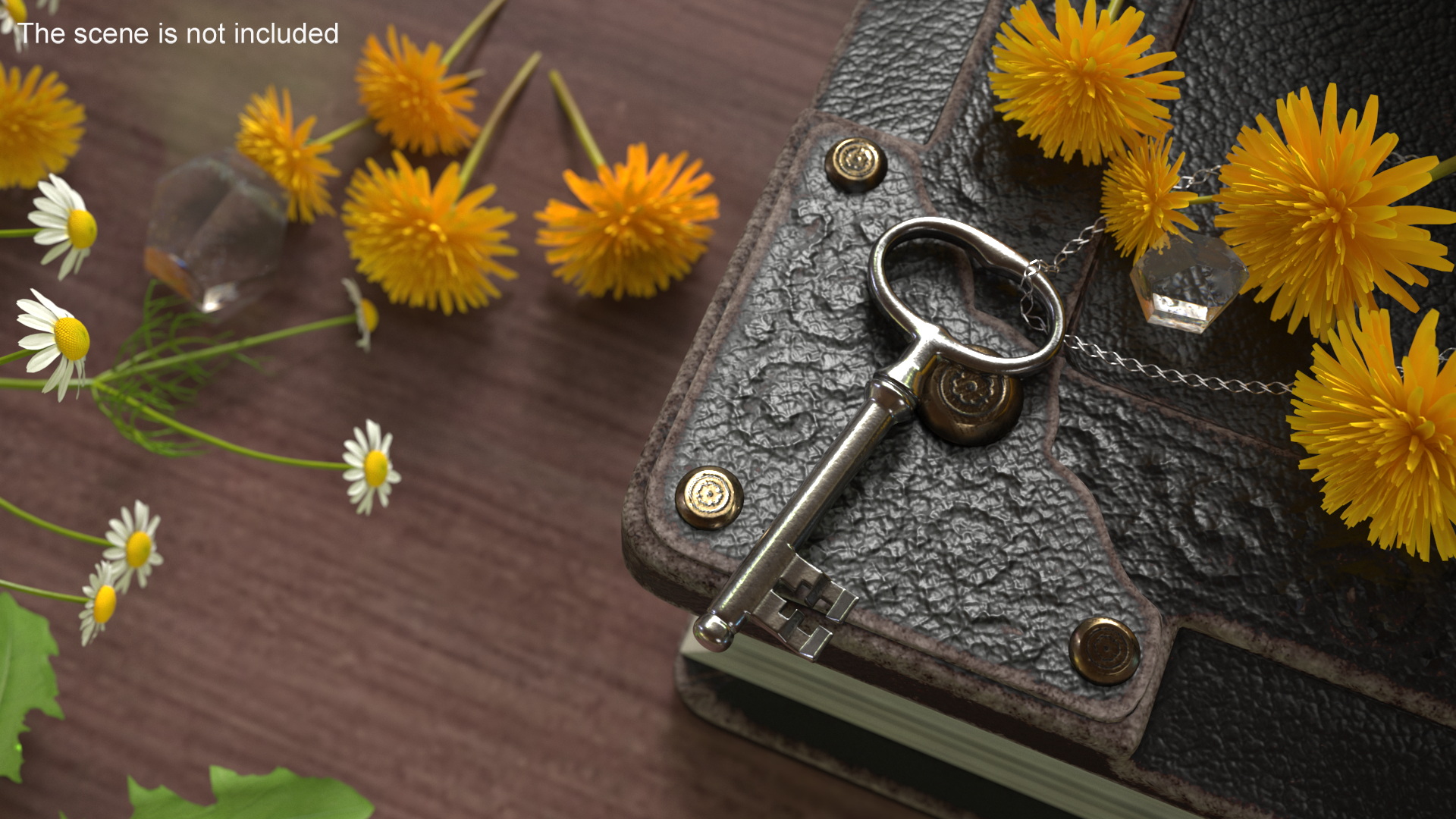 Classic Skeleton Key Silver 3D