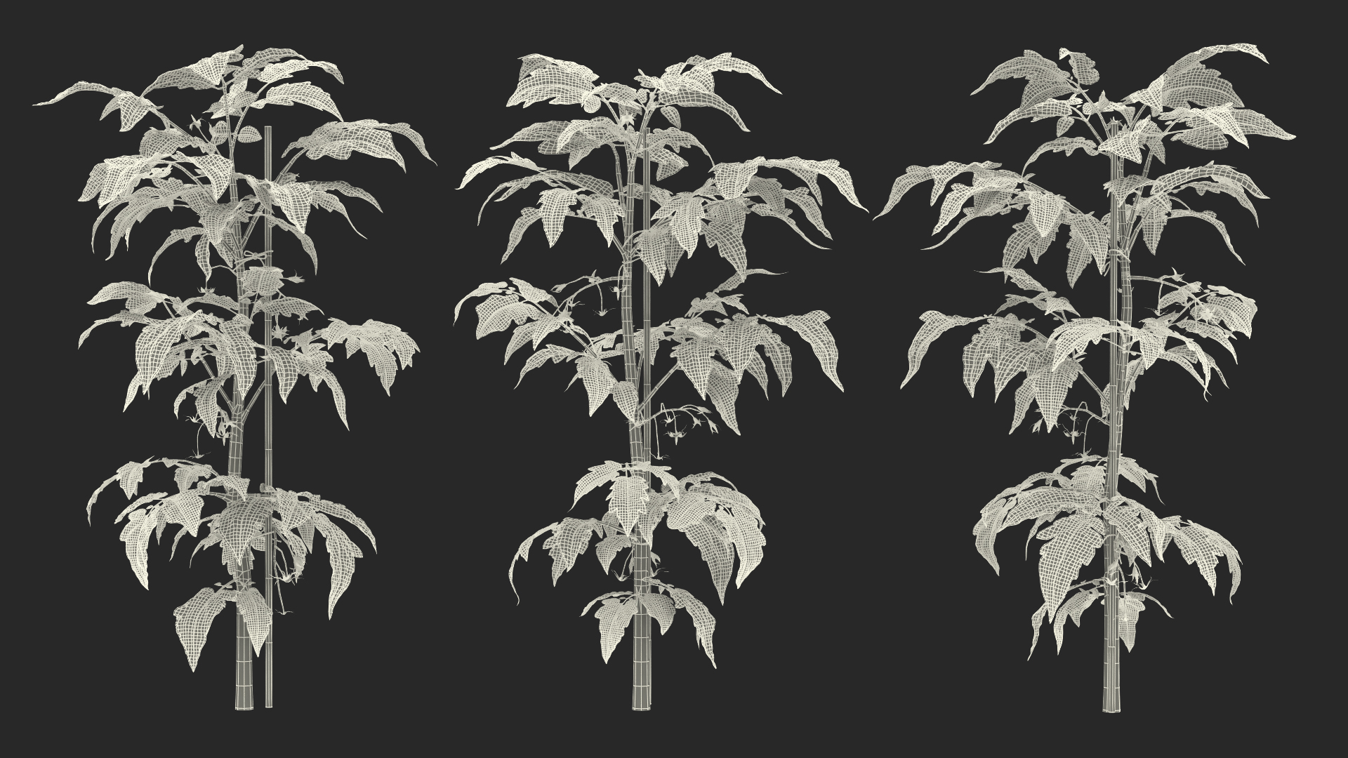 3D Green Stem and Tomato Leaves model