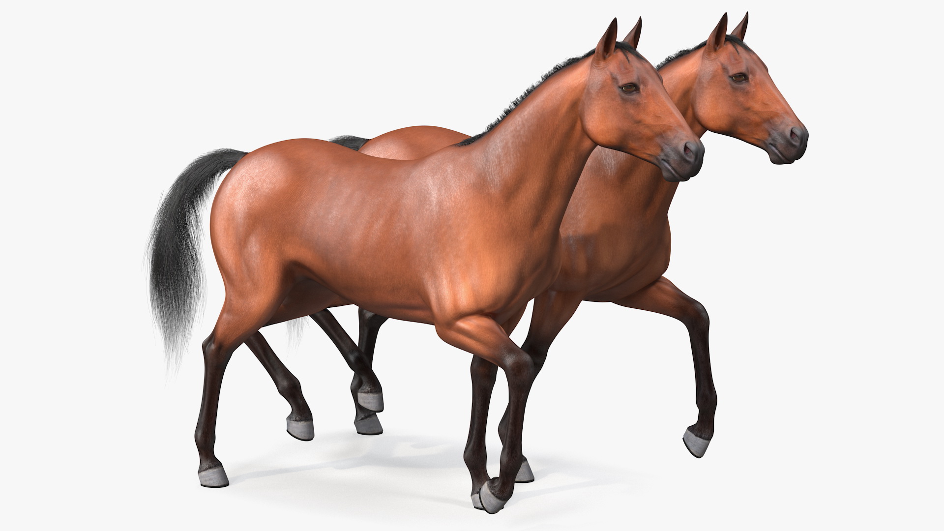 3D Stagecoach with Horses Fur