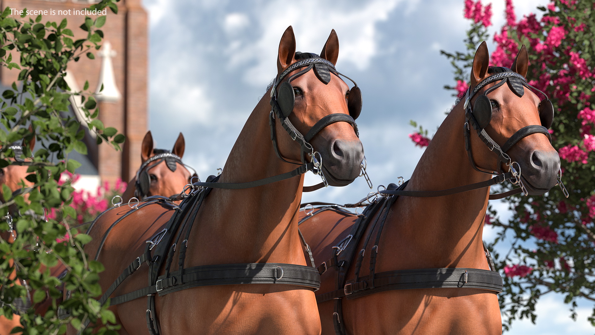 3D Stagecoach with Horses Fur