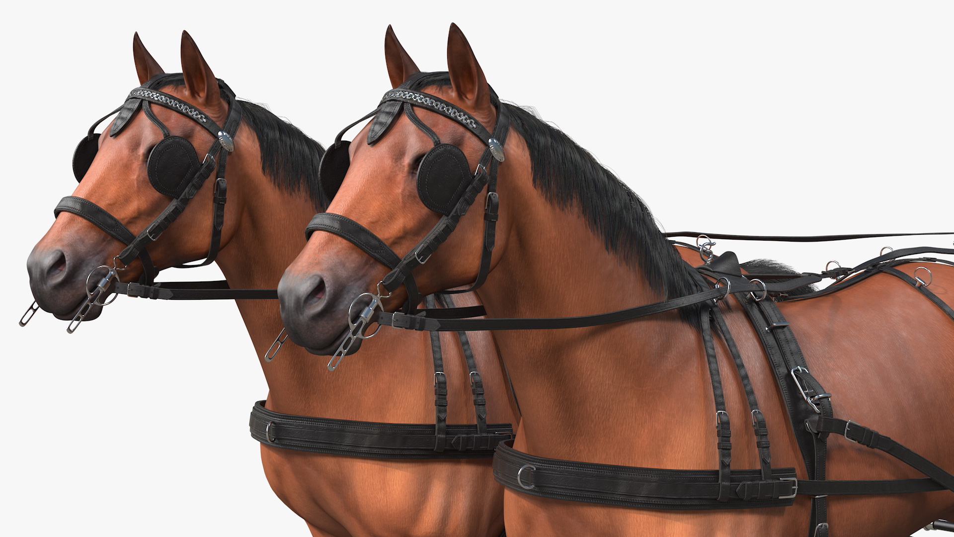 3D Stagecoach with Horses Fur