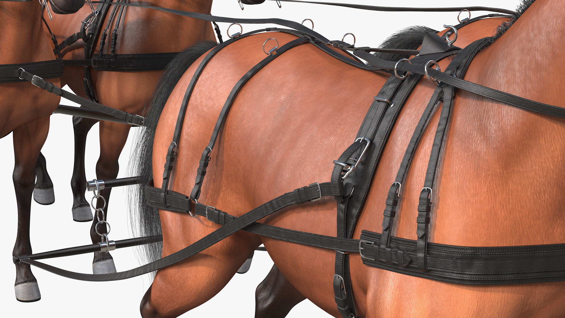 3D Stagecoach with Horses Fur