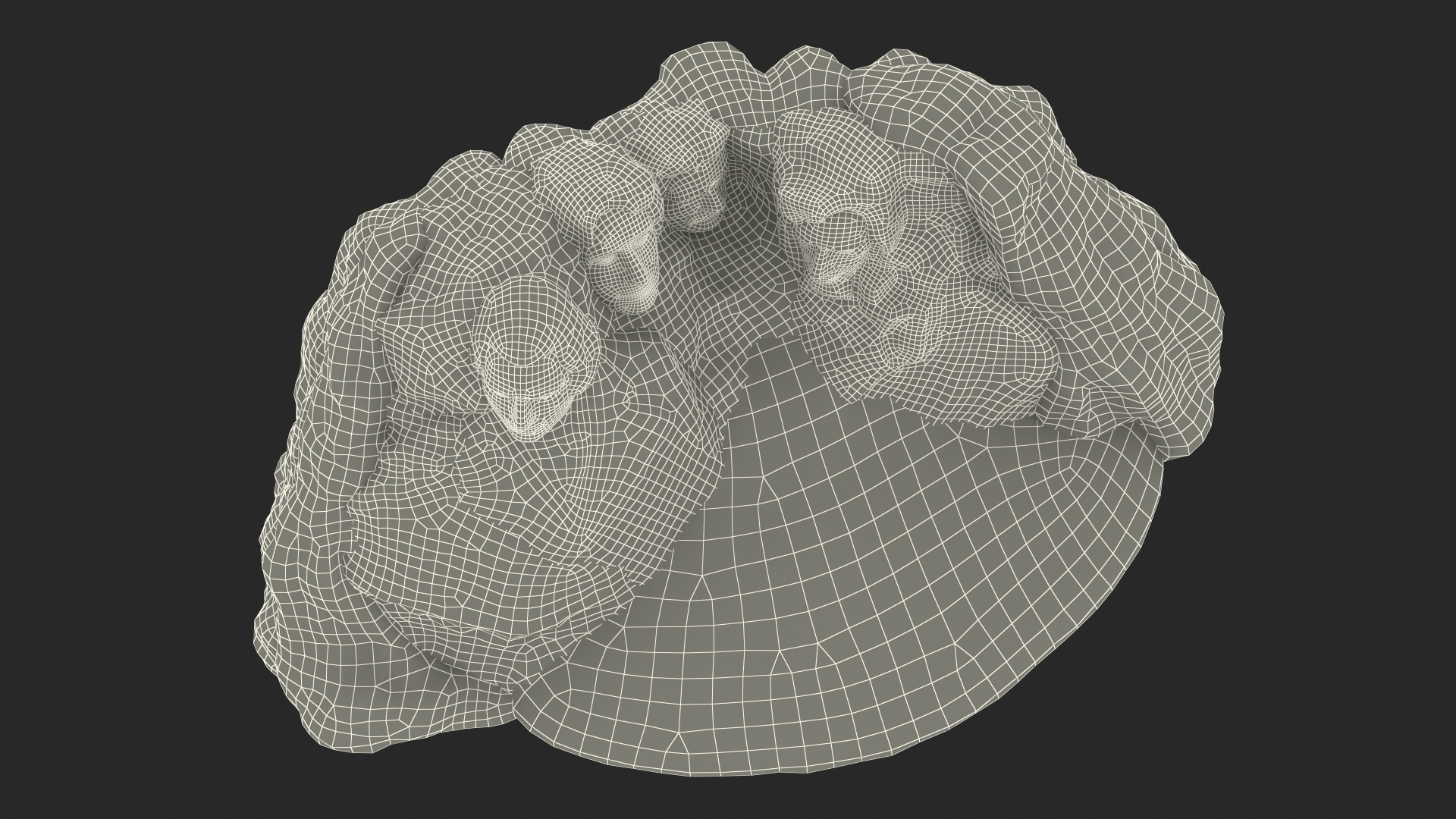 Mount Rushmore National Memorial 3D