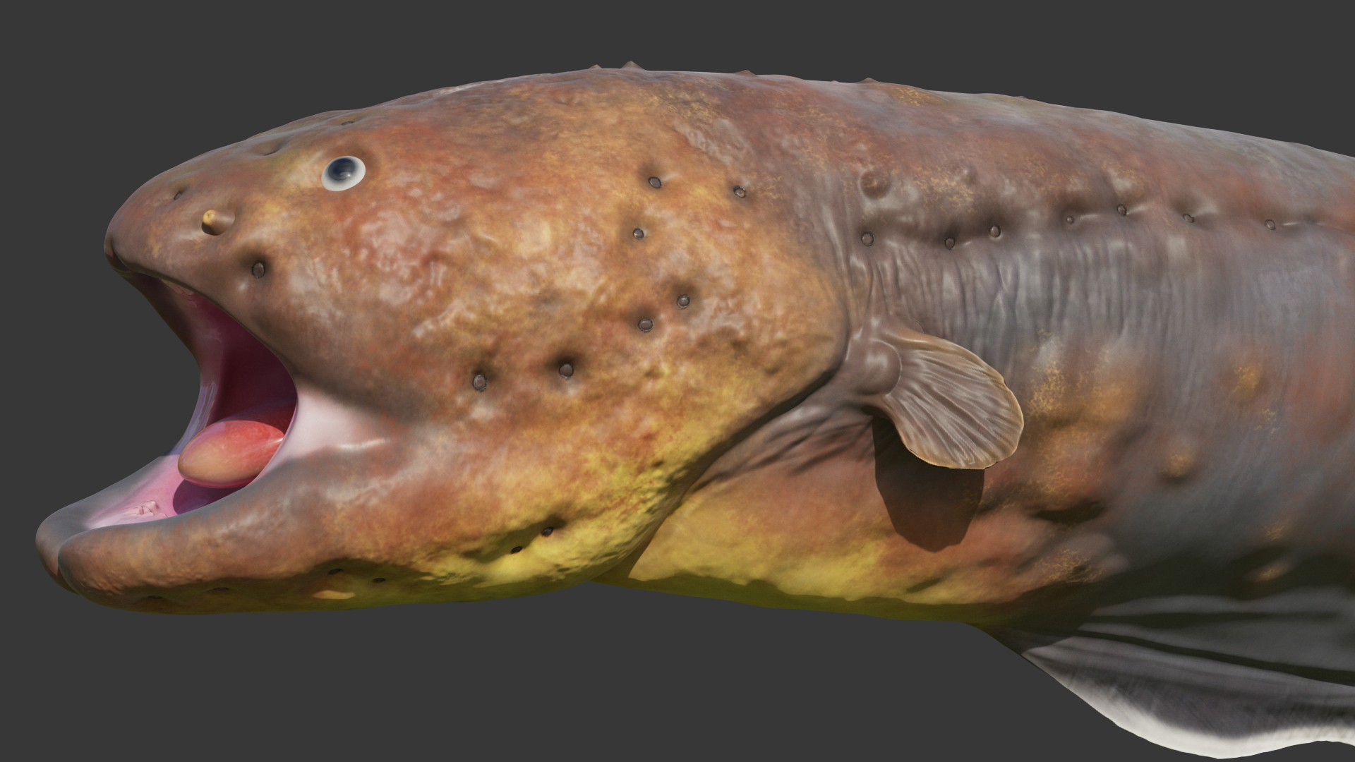 Electric Eel Attack Pose 3D model