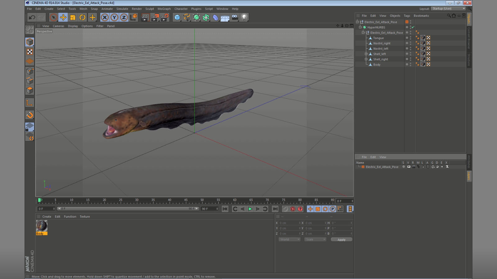 Electric Eel Attack Pose 3D model