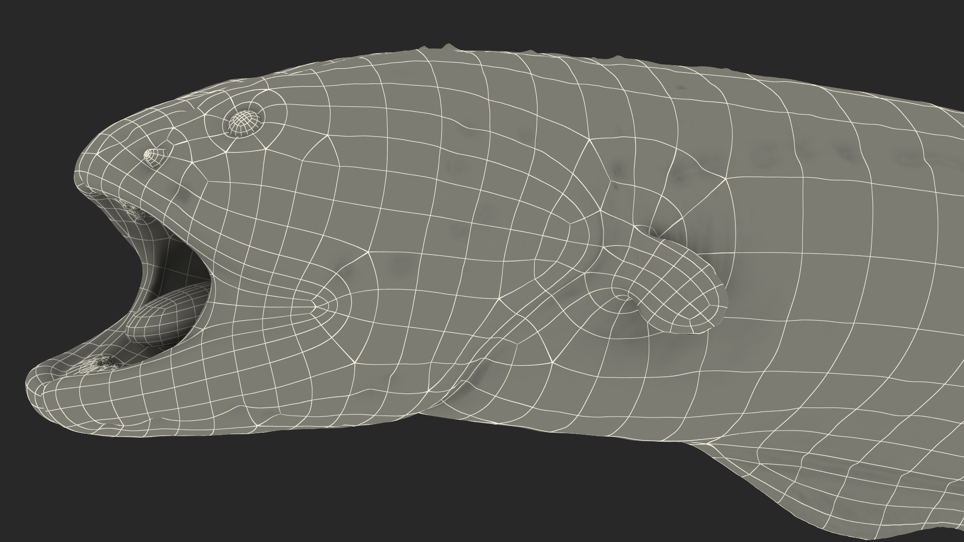 Electric Eel Attack Pose 3D model