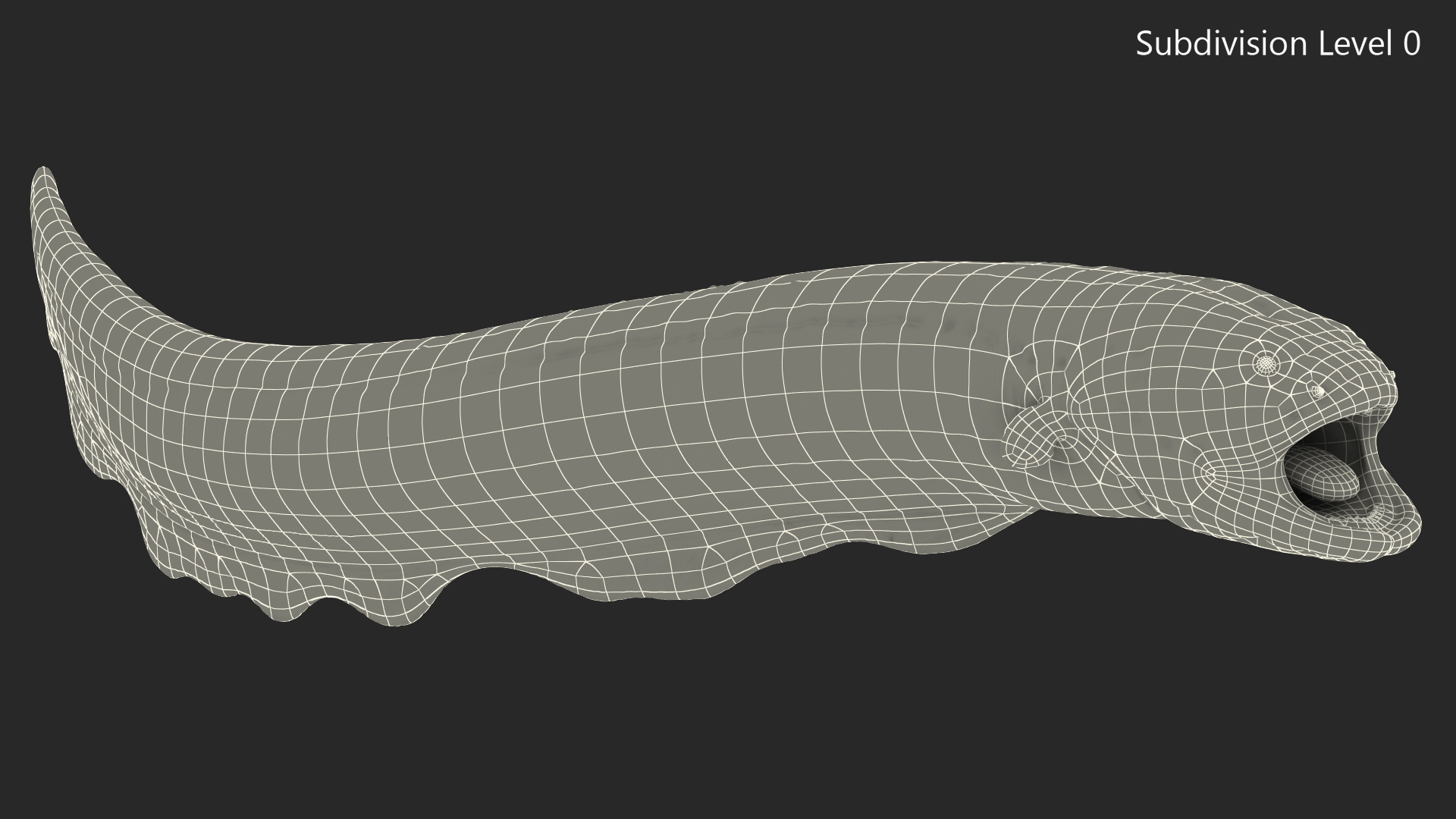 Electric Eel Attack Pose 3D model