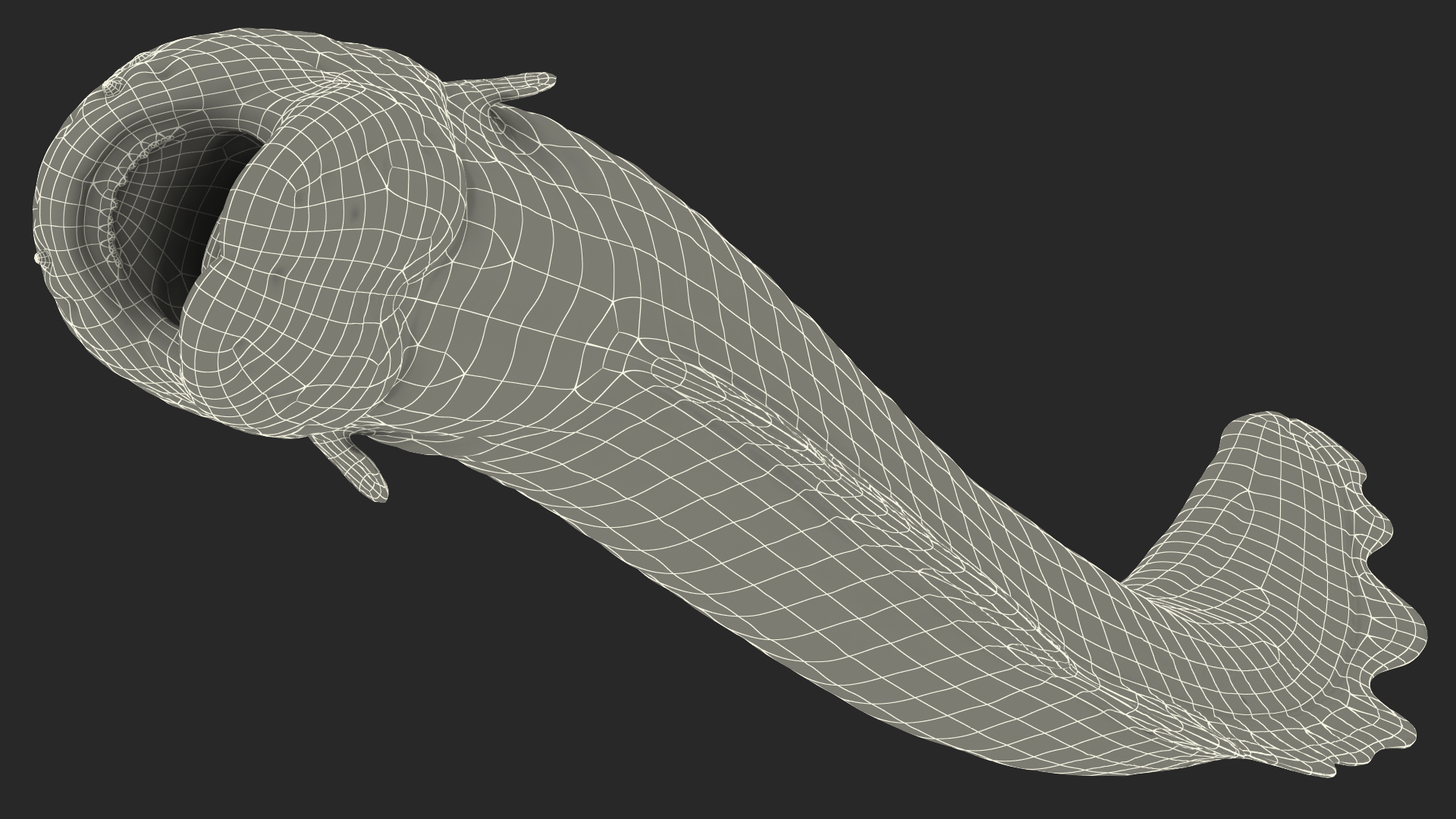 Electric Eel Attack Pose 3D model