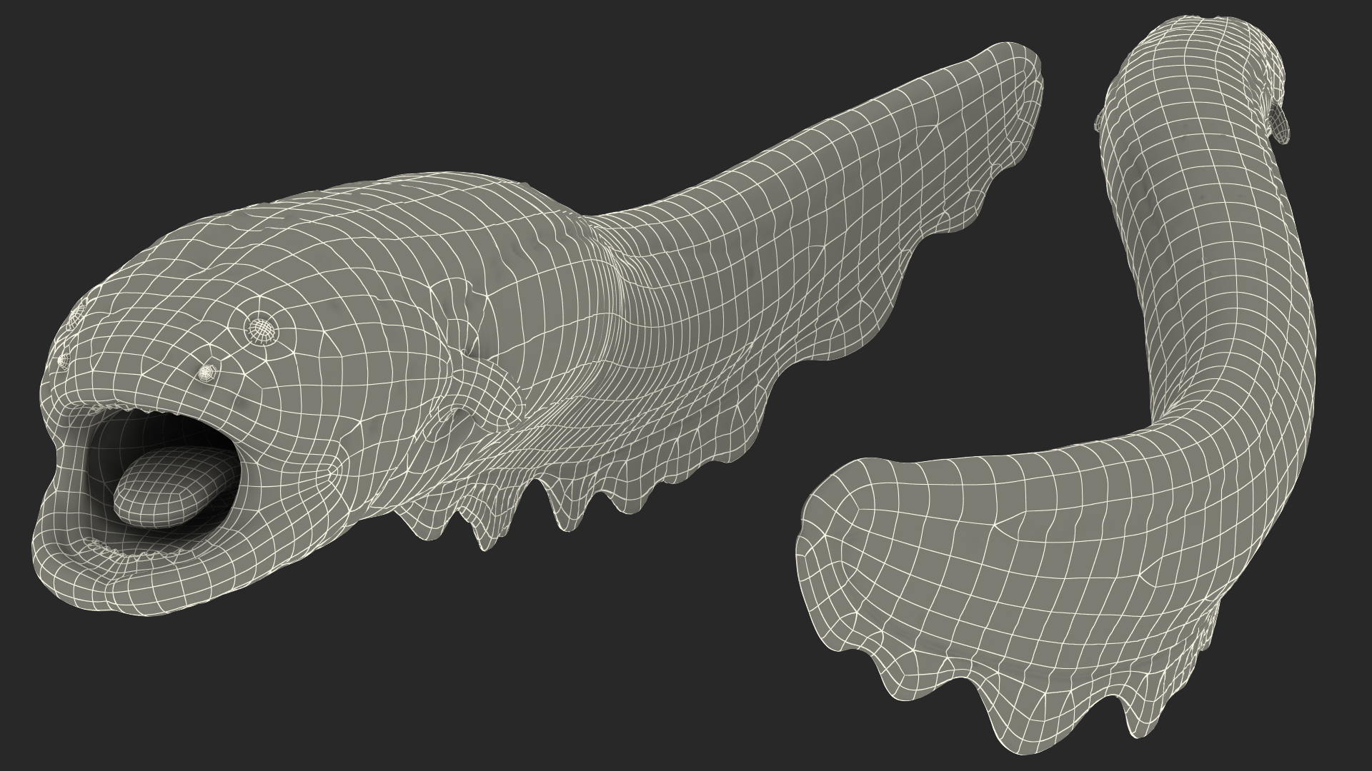Electric Eel Attack Pose 3D model