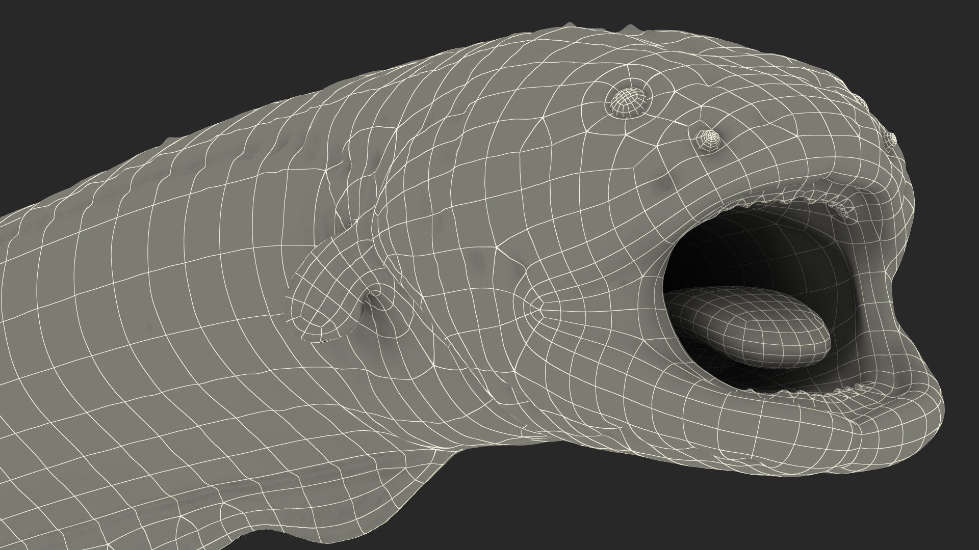 Electric Eel Attack Pose 3D model