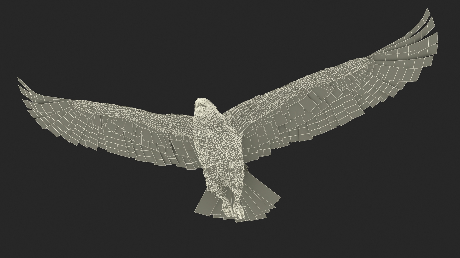 Flying Golden Eagle 3D model
