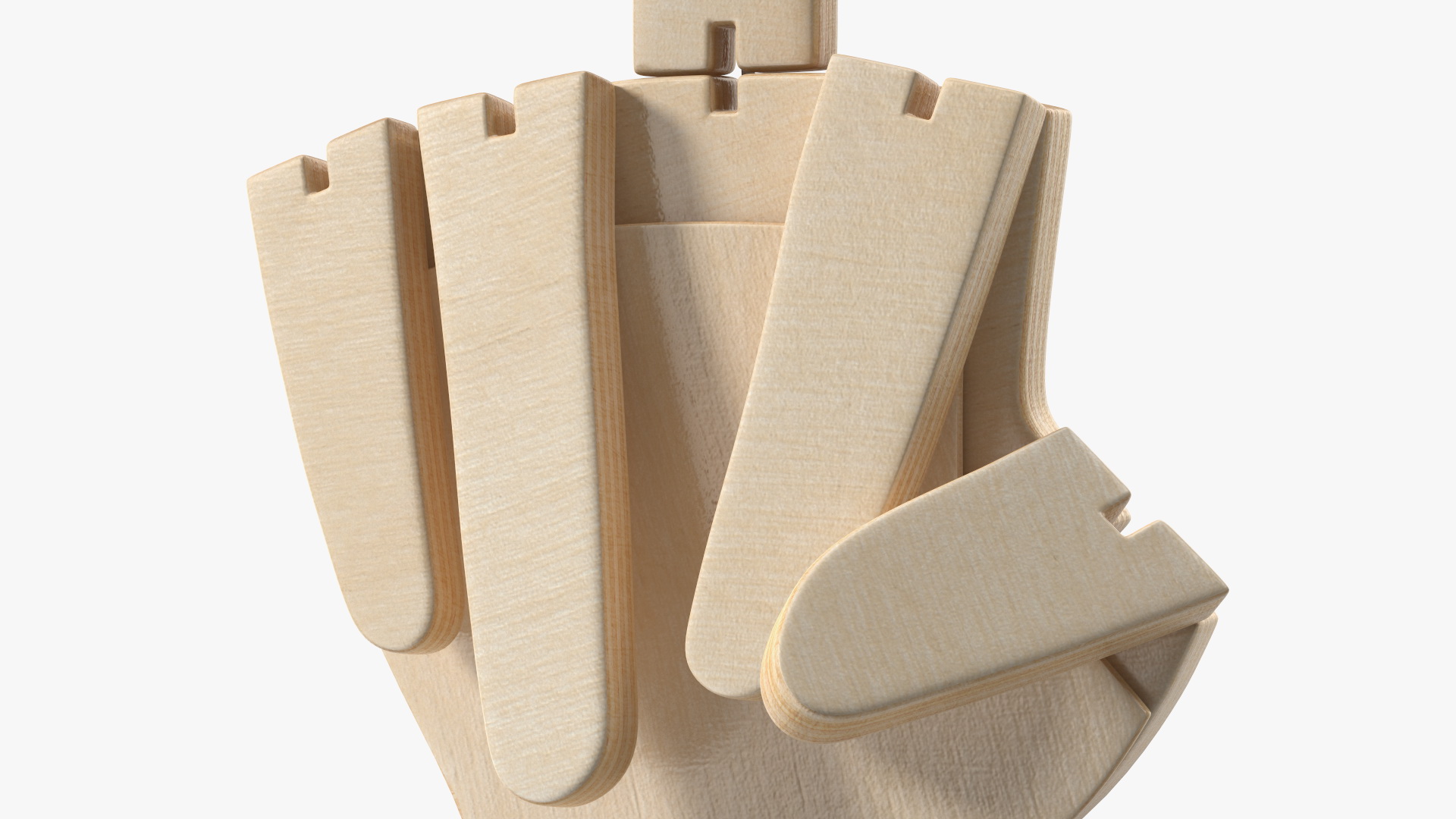3D model Hand Pointing Up Middle Finger