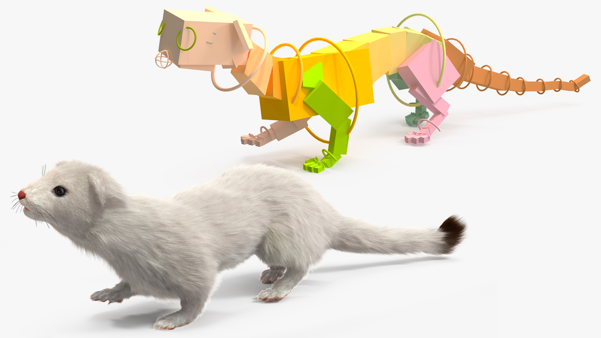 3D model Ermine Mammal White Fur Rigged