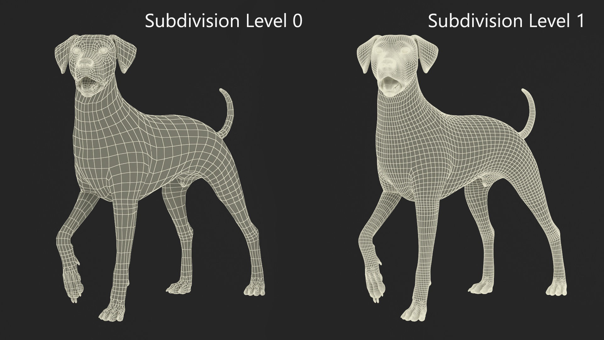 Spotted Standing Dalmatian Dog Fur 3D model