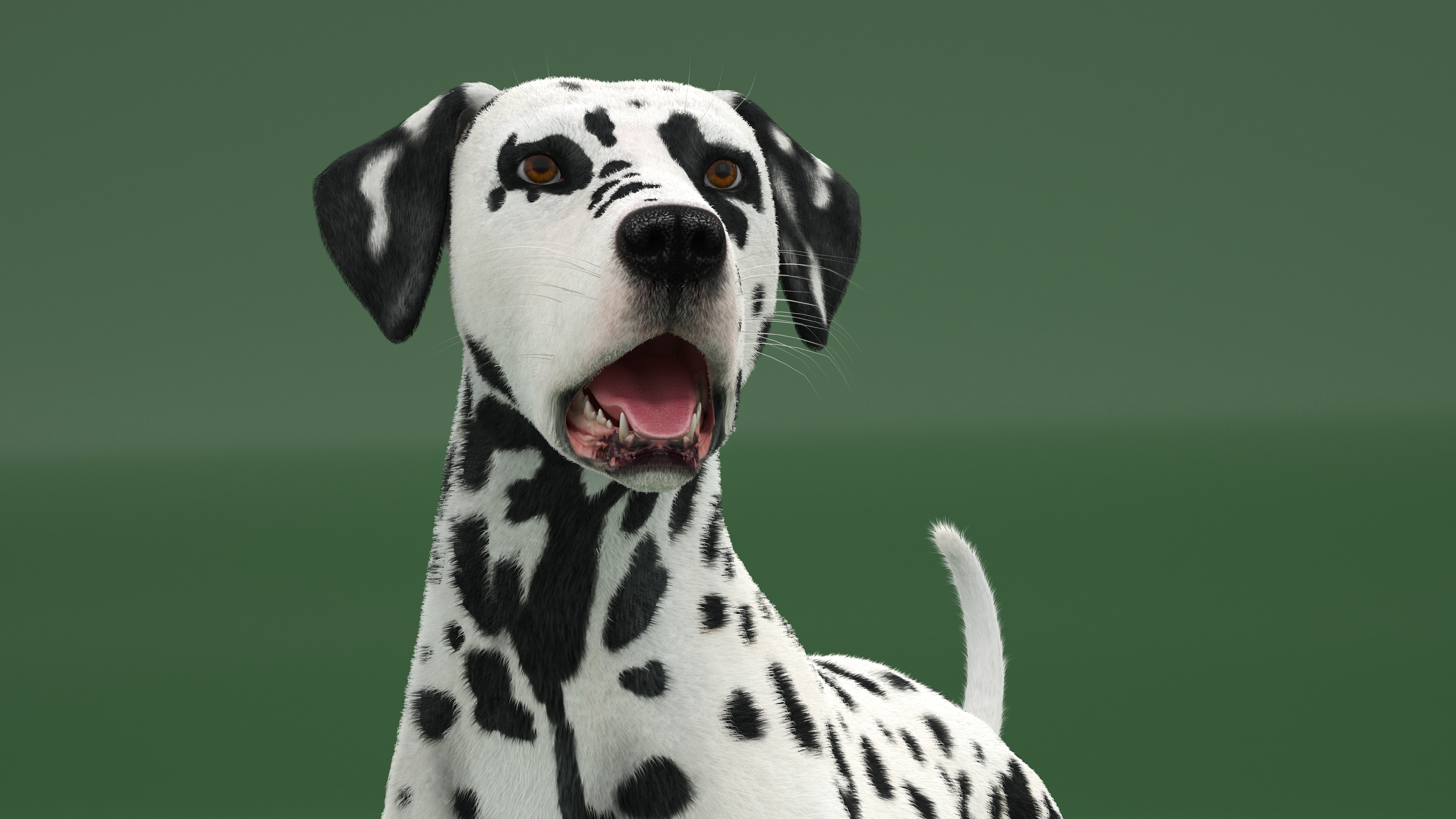 Spotted Standing Dalmatian Dog Fur 3D model